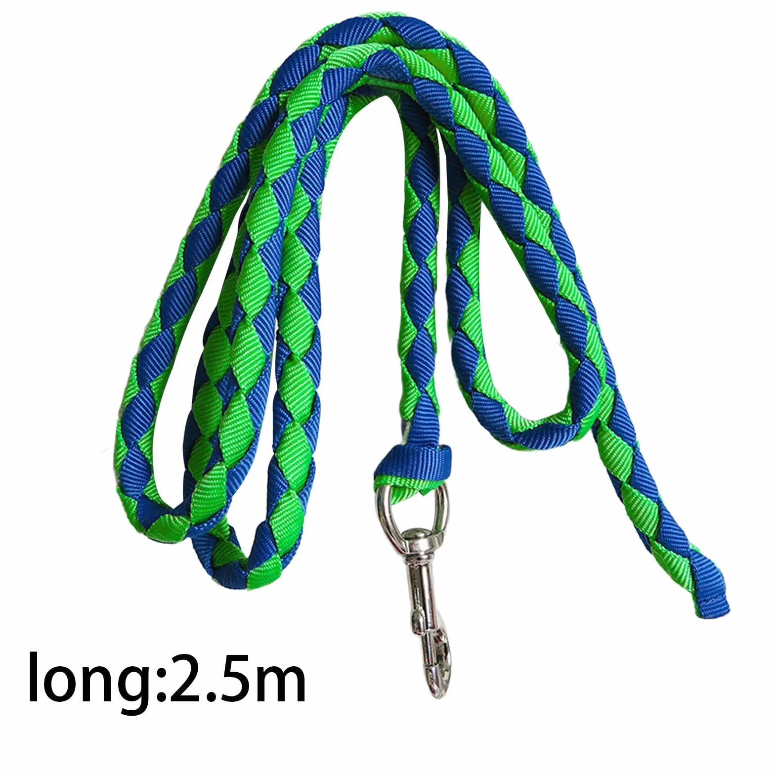 Corda per Cavallo con Attacco a Clip Sicuro, 2.5 m Verde e Blu