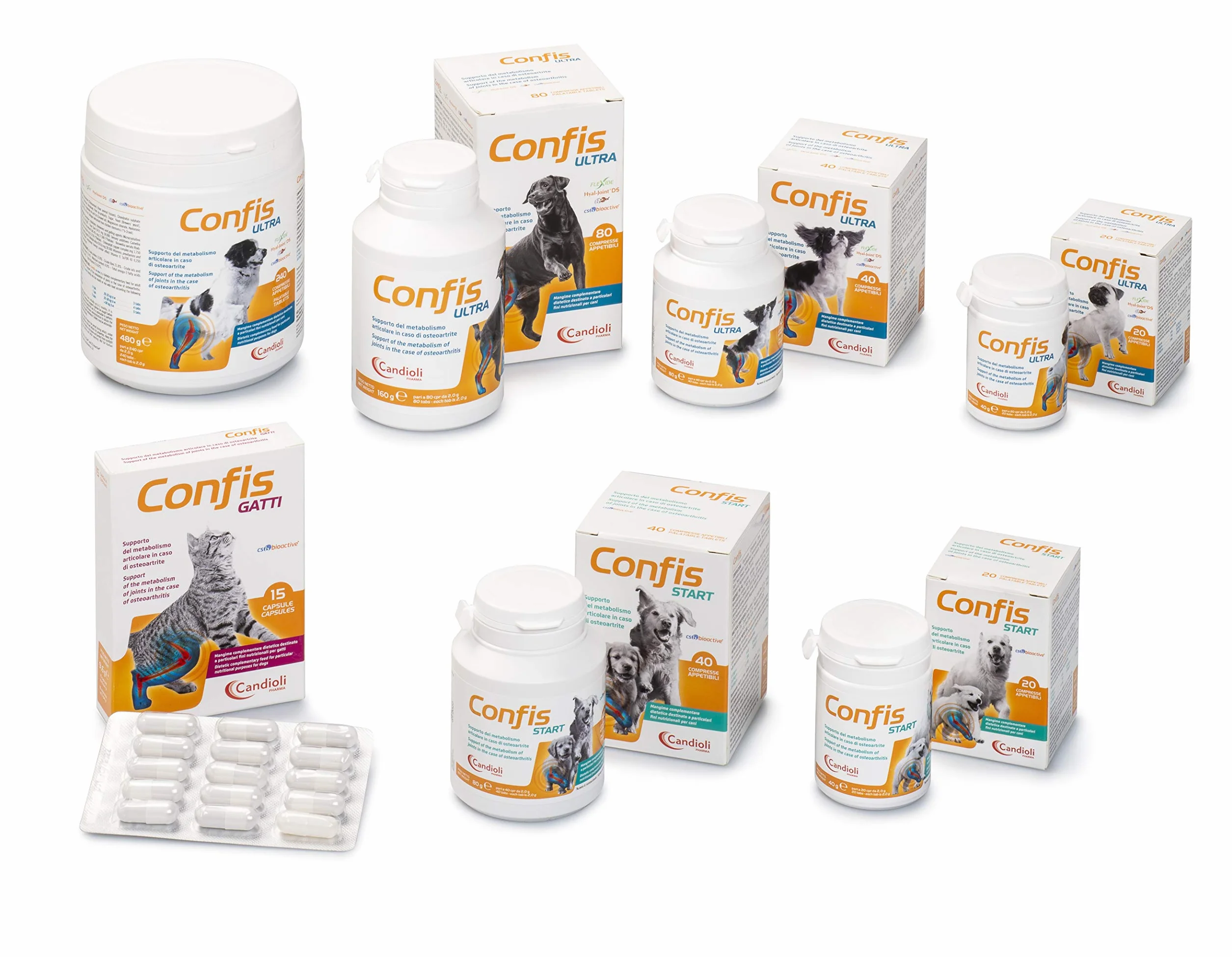 Candioli PA3148 Confis Gatti, Multicolore, 45 CPS