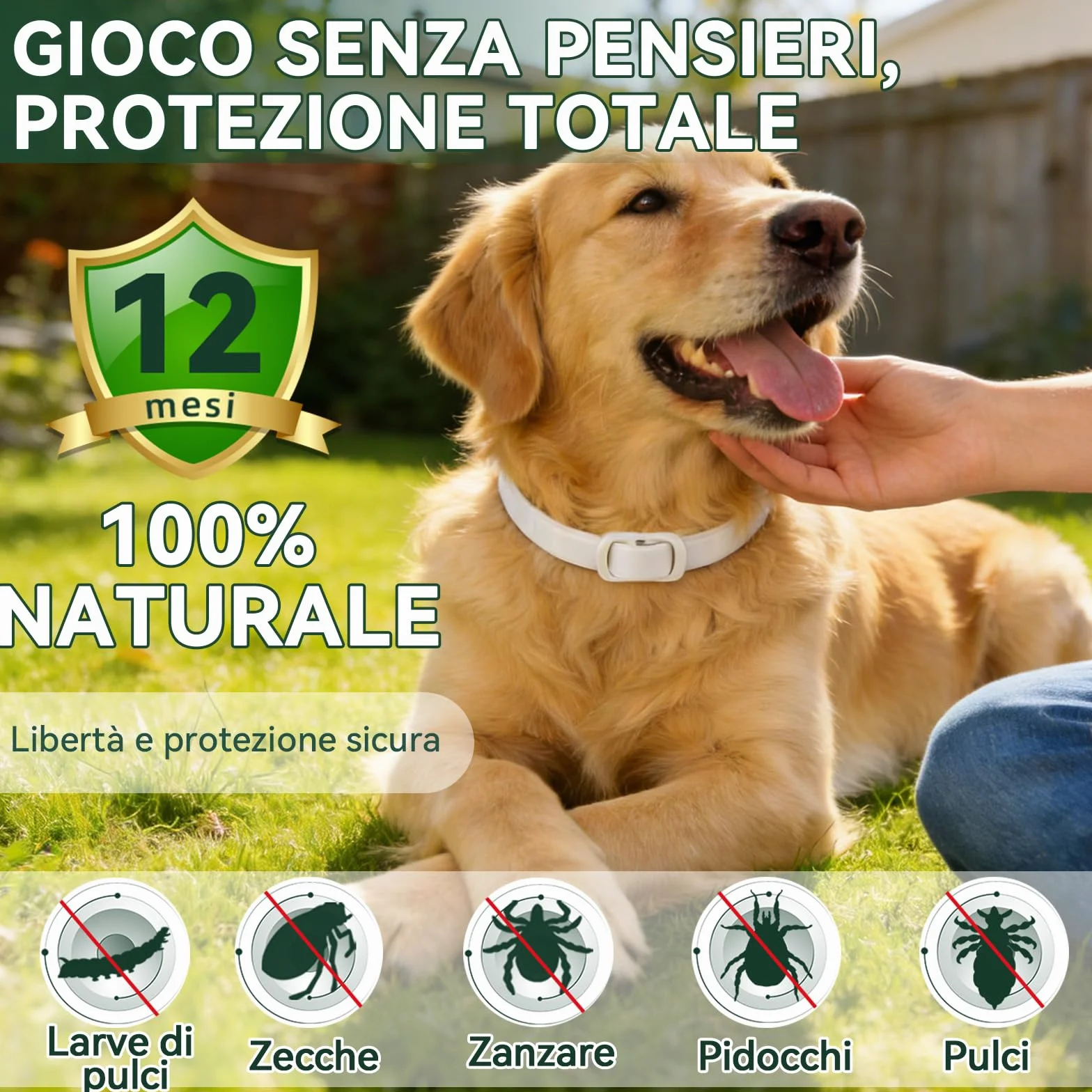 Collare Antiparassitario per Cani, Collare Antipulci Cane, Protezione Efficace, Naturale, Impermeabile, Regolabile, Collari Antiparassitari per Cani per Piccoli, Medi e Grandi a Tutte le Razze,65cm