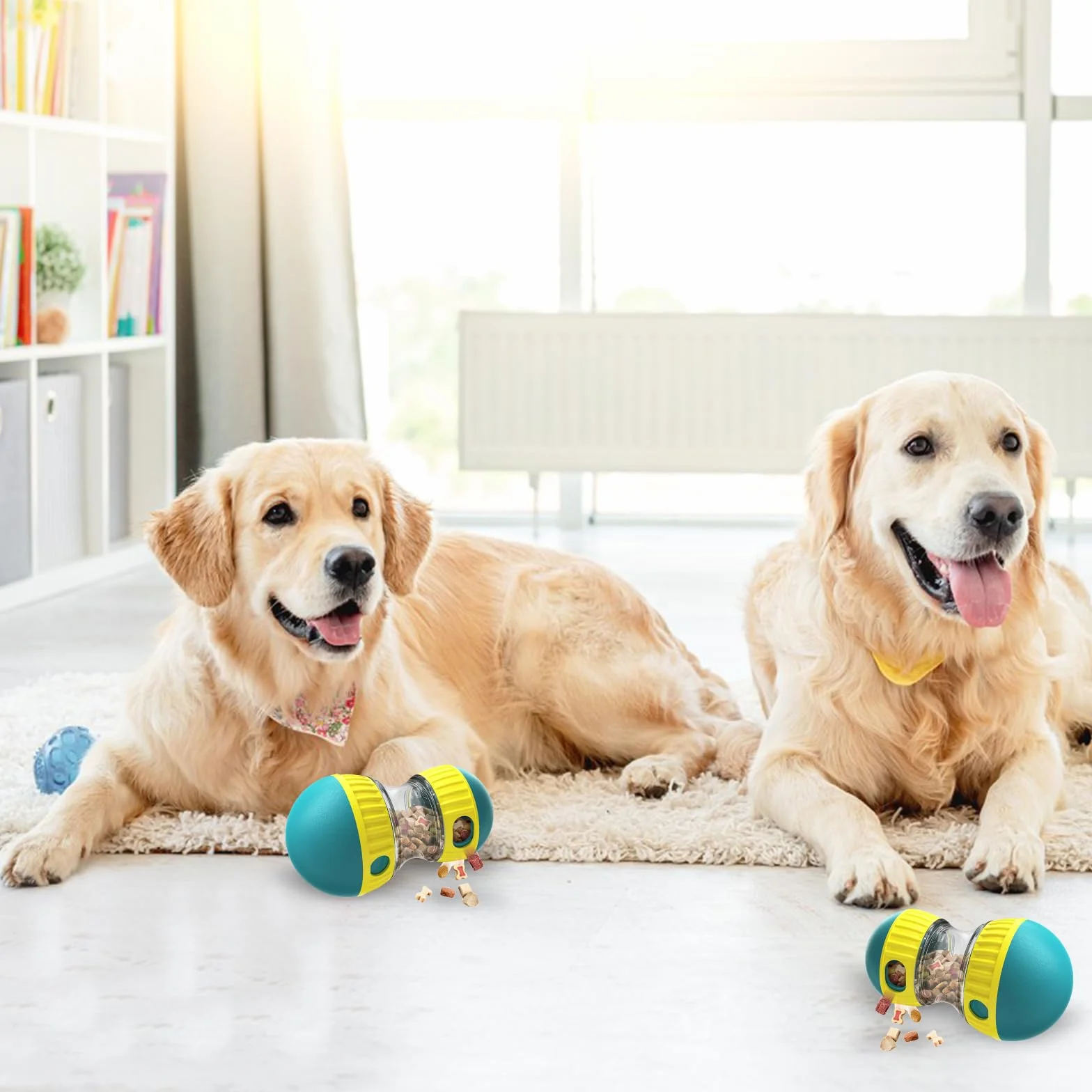 MeoZynxadril Giocattolo Interattivo per Cani, Intrattenimento e Alimentazione Lenta, Intelligenza, per Razze Piccole, Medie e Grandi