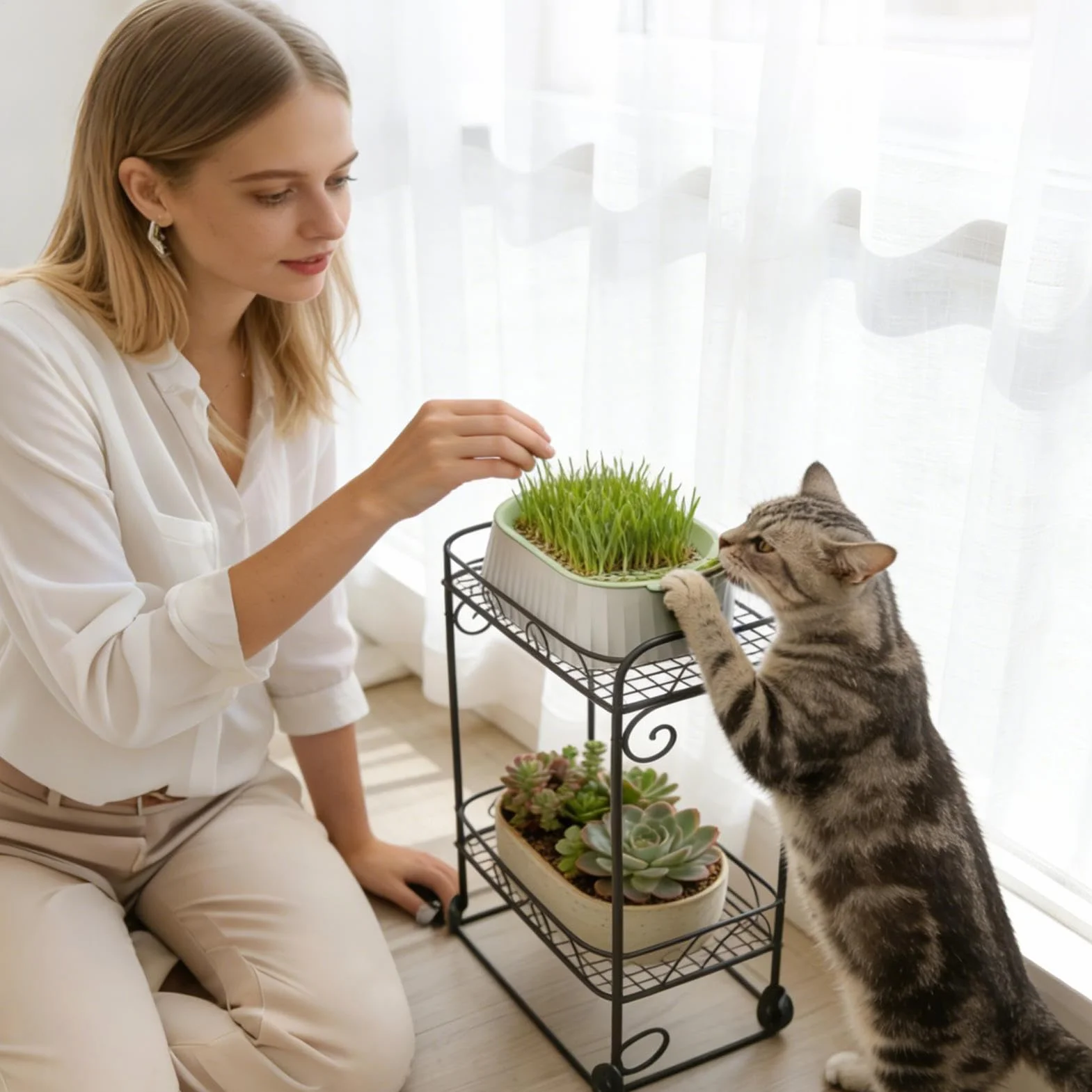 Erba per gatti – erba per gatti biologica, facile da coltivare, pianta sempreverde, supporto digestivo ideale per gatti, supporto (12 cm, 20 – 30 Cm), sottovaso, vasi da fiori, piante