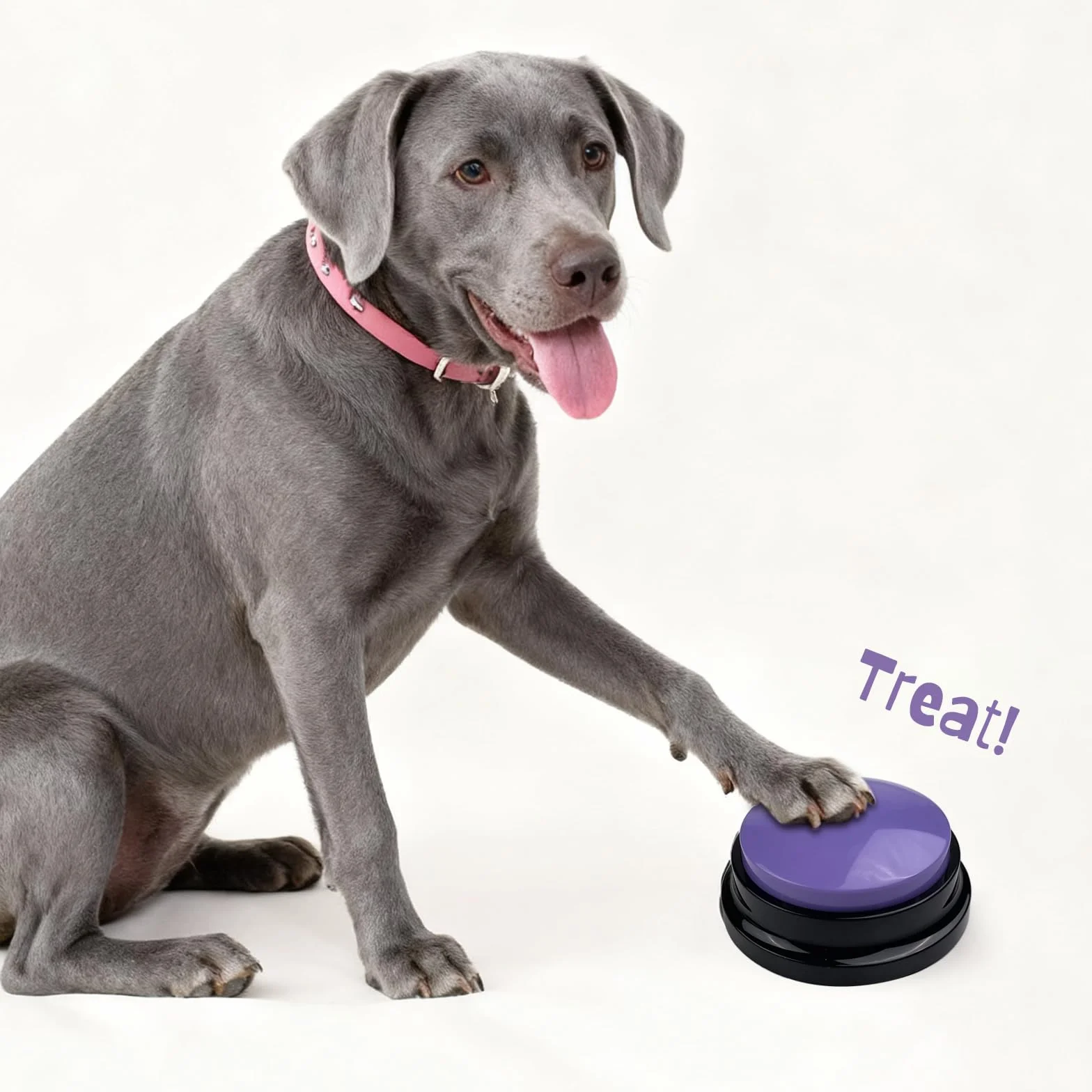 Pulsanti per Cani Parlare, Registrabili con Suono 30 Secondi, Buzzer Button, Pulsante per l'addestramento del Cane, per Animali Domestici Comunicazione e Addestramento, Confezione da 4