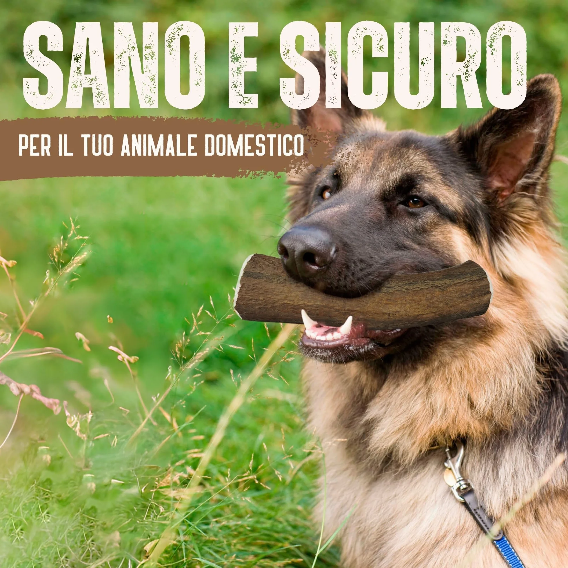 Corno di Cervo Naturale per Cani | Masticatore Dentale Duraturo | Origine Naturale, Senza Additivi | Kira&Gara® (XL - 200-240g, Pack de 1)