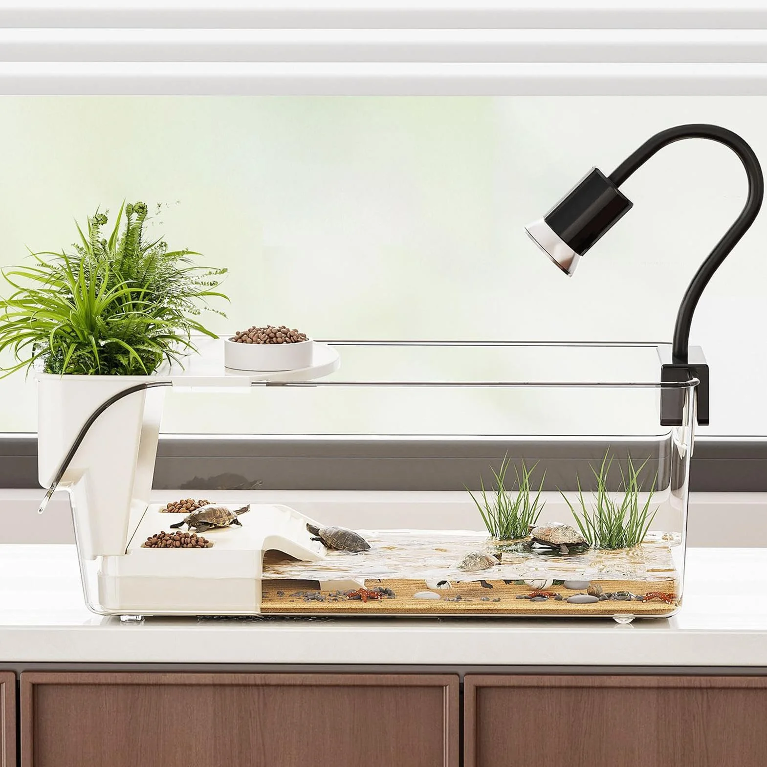 Acquario Per Tartarughe Grande | Terrario Multifunzione Con Piattaforma Solarium Rimovibile | Gabbia Per Tartarughe, Rane Arboree, Salamandre, Gamberi, Animali Piccoli | Interno, Soggiorno, Casa