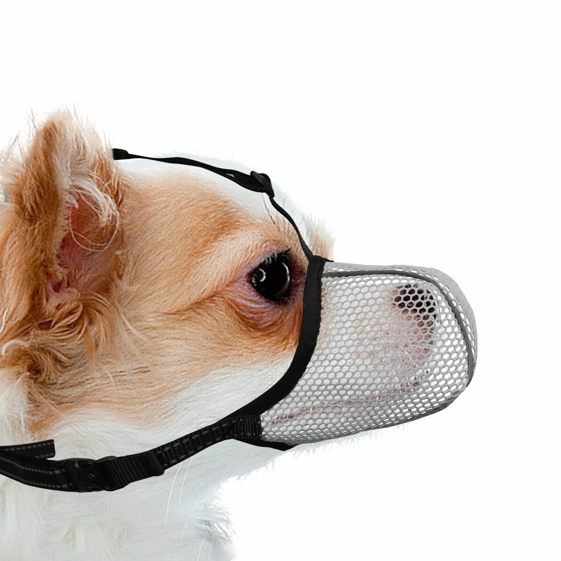 Museruola per cani, traspirante, morbida, per cani di taglia extra piccola, anti-abbaiare, mordere, masticare, riflettente, regolabile, museruola a cestello con rete d'aria, per bassotto