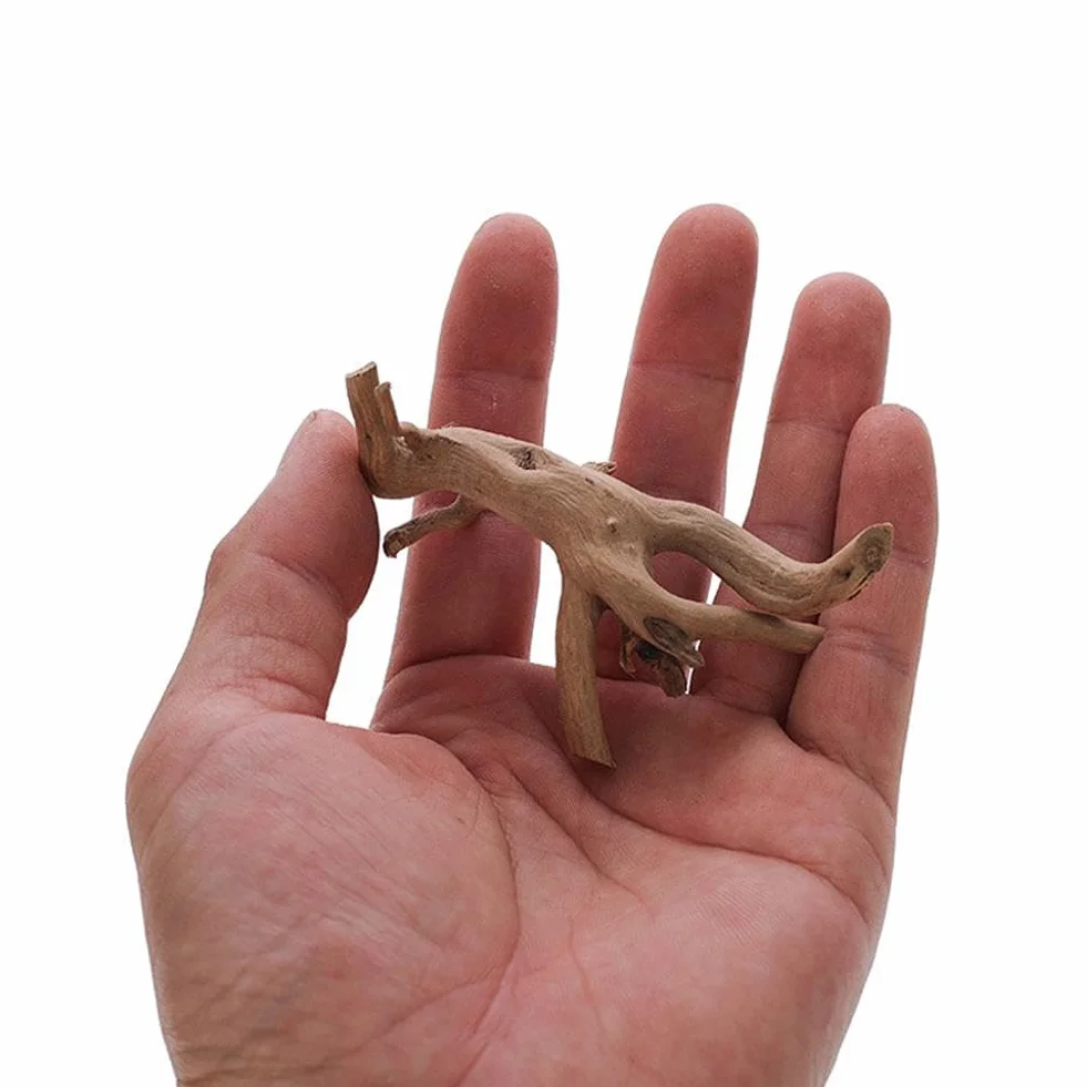 Legno naturale di corallo per acquario, forme assortite, decorazione per terrari rettili, rami in legno naturale affondabili, decorazione per acquario, per pesci e acquari
