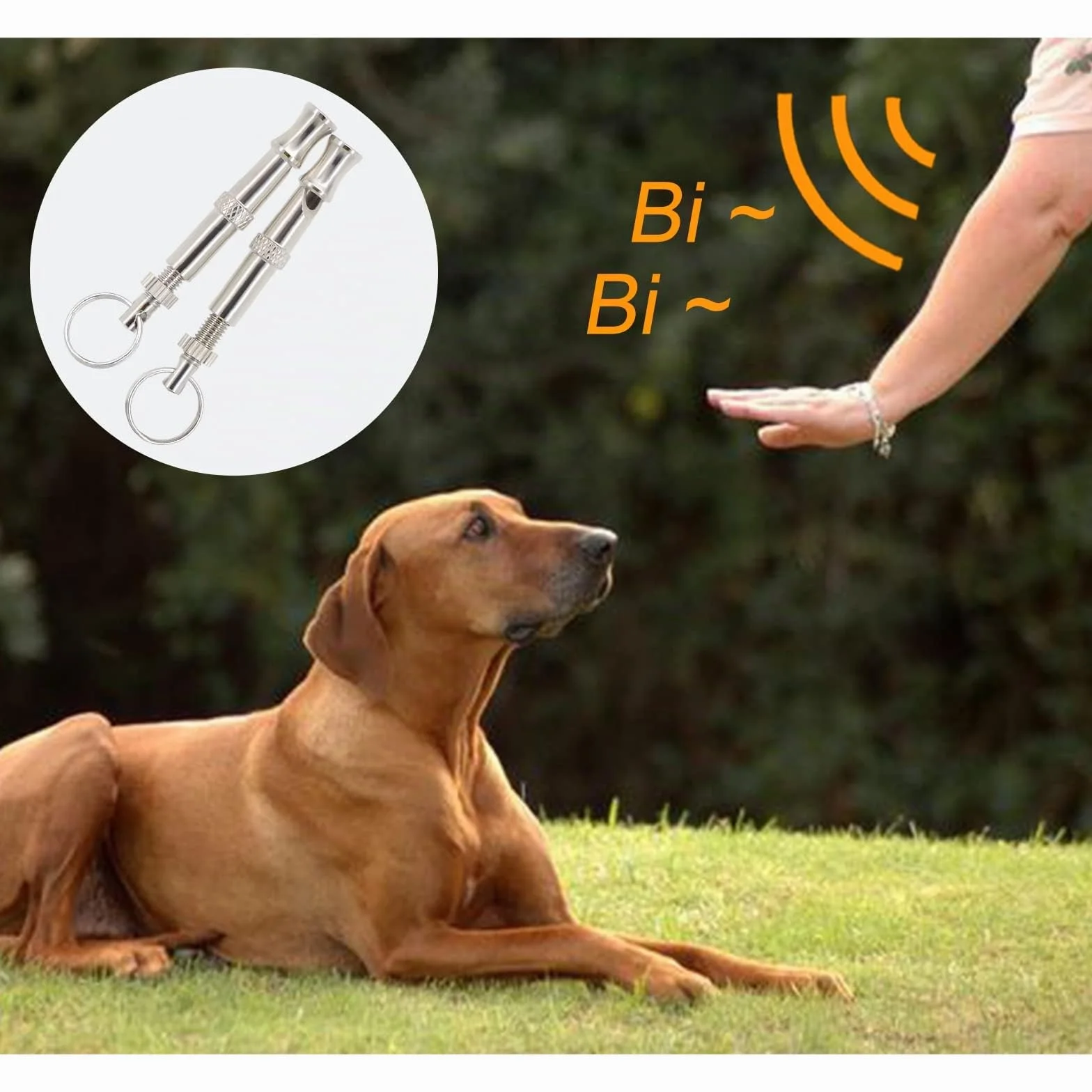 Andiker Fischietto per Cani, 2 Pezzi Fischietto per Animali Domestici ad ultrasuoni in Acciaio Inossidabile con Cordino, Professionale a frequenza Regolabile per l'addestramento al richiamo
