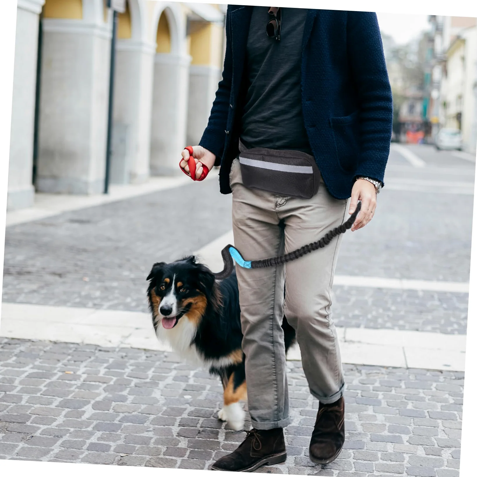 TOYANDONA Guinzaglio da Corsa per Cani Elastico Antiurto Riflettente per Sicurezza con Marsupio da Jogging per Accessori Essenziali per Passeggiate e Attività all Aperto