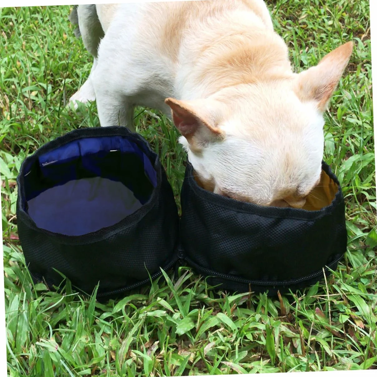YARNOW 2 Pz Ciotole Doppie Per Animali Domestici Ciotole Impermeabili Per Cani Pieghevoli Per Animali Domestici Tazza Espandibile Pieghevole Viaggiare Prodotti Per i Piega