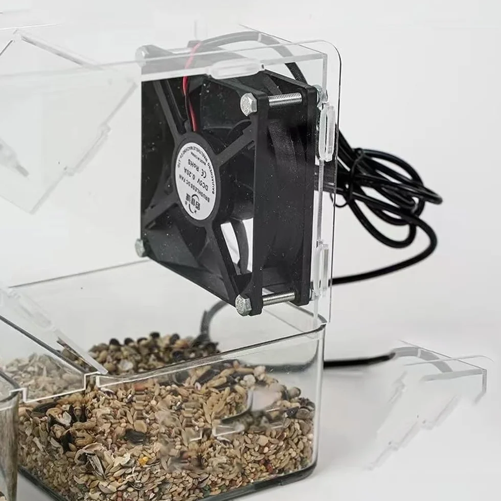 Toplionace Mini Macchina Soffiatrice per Cereali per Uccelli, Soffiatrice per Gusci di Cereali per Alimenti per Uccelli Lavabile Elettrica per Uso Domestico
