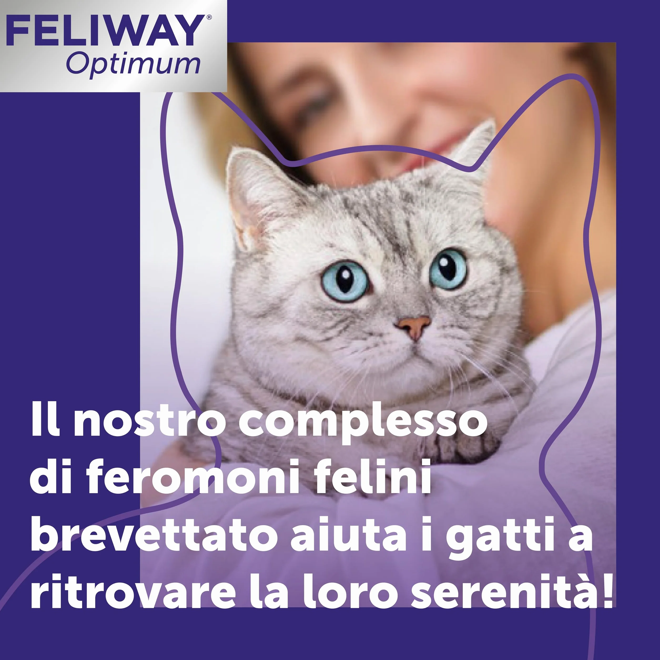 FELIWAY Optimum 3x30 Giorni di Ricariche Calmanti per Diffusore di Feromoni, Confezione da 3x48 ml – Aiuta a Risolvere Tutti i segni Comuni di Stress nei Gatti e Gattini, Raccomandato dai Veterinari