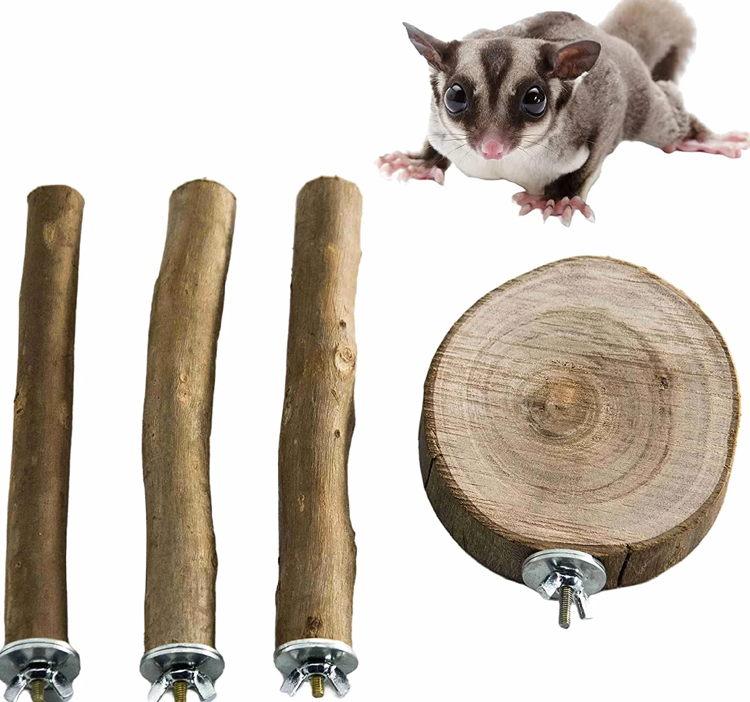 Asta eucalipto naturale giocattolo arrampicata motivo zampa molare
