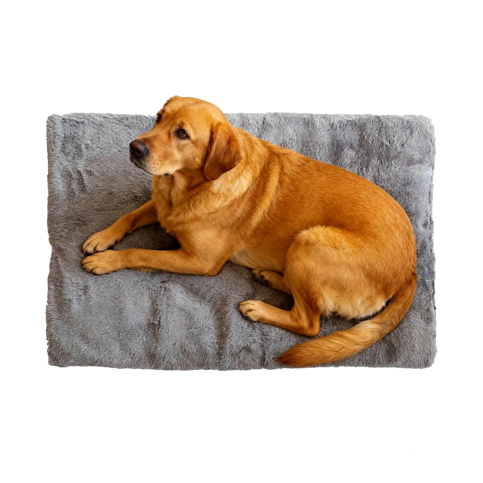 Invernale Per Cani Comfortevole Grande Cuscino Antiscivolo per Animali | Materassino Da Per Gabbia E Cuccia Per Appartamento Dormitorio Casa Soggiorno Camera Da