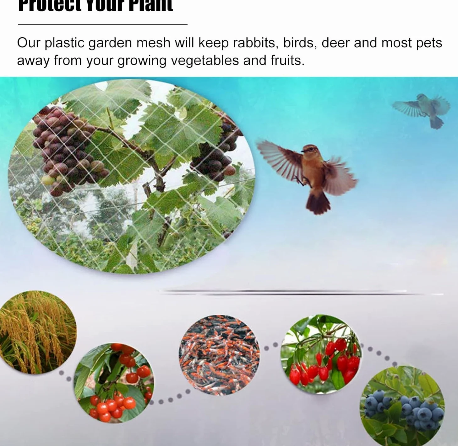 Rete for Piante for Frutta e Verdura Rete di Sicurezza Leggera Bianca for pollai, recinzioni da Giardino, Barriere for Conigli e Animali(5x10m/16.4x32.8ft)