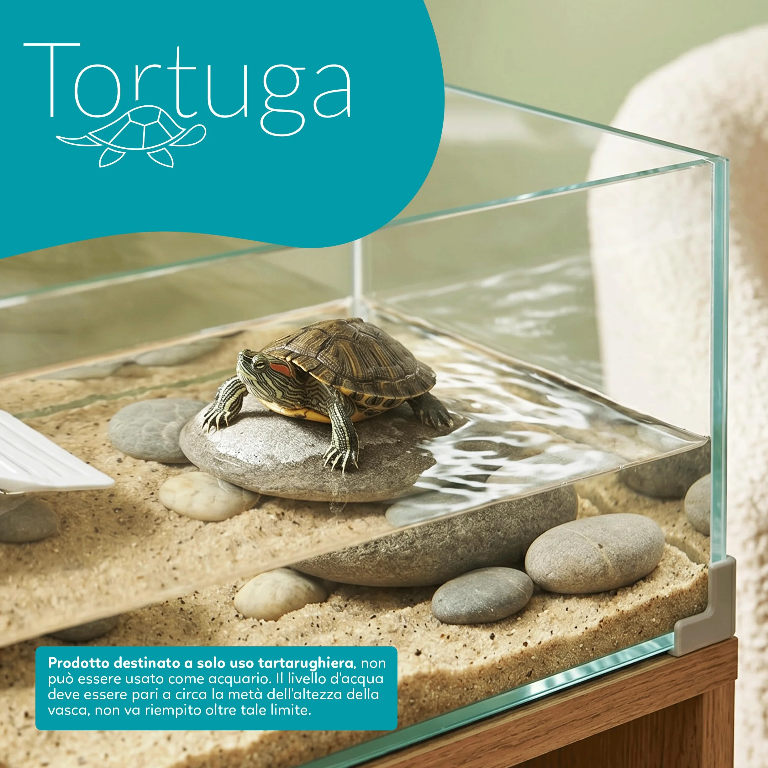 AQPET Tartarughiera in Vetro con Coperchio E Isola per Tartarughe d'Acqua Tortuga, 60 60x30x25 cm 45 Litri