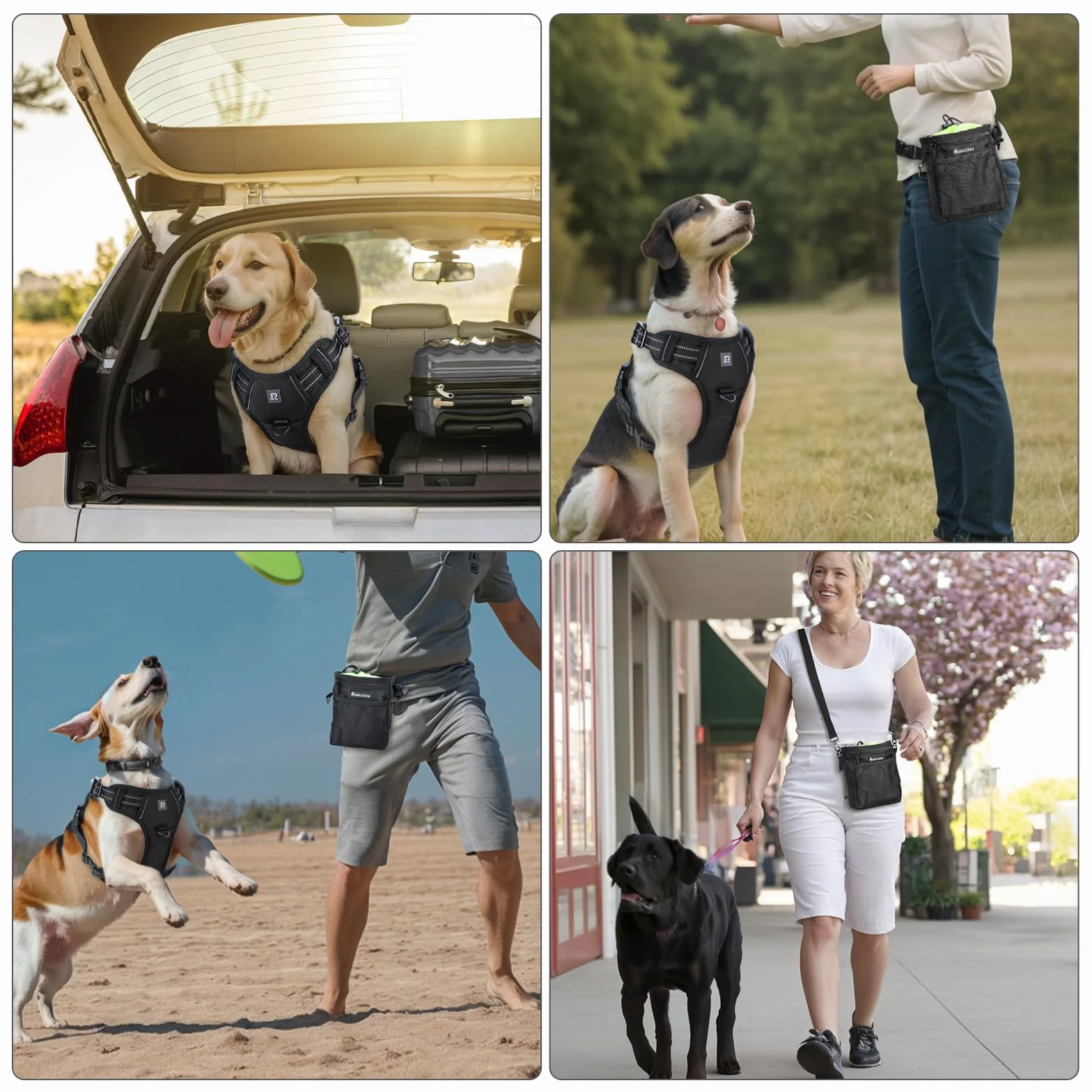 Borsa Addestramento Cani, Sacchetto di Allenamento per Cani Borsa per Il Cibo per Cani Animali Multifunzionale Snack Borsa