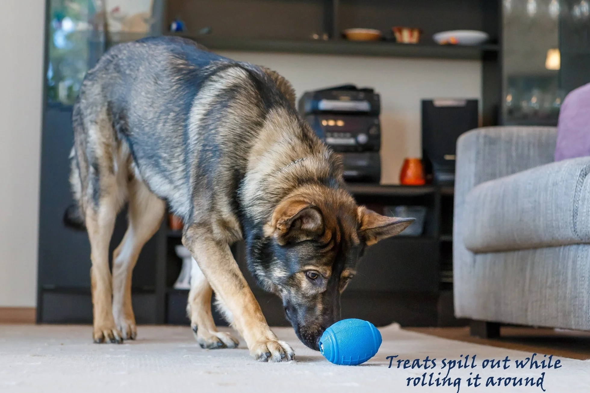 Tricky Treat Rugby Palla Dispenser Croccantini - Gioco Interattivo per Cani: Ottimo Gioco da Riporto o da Lancio, per Alleviare Stress e Combattere la Noia (L, Blu)