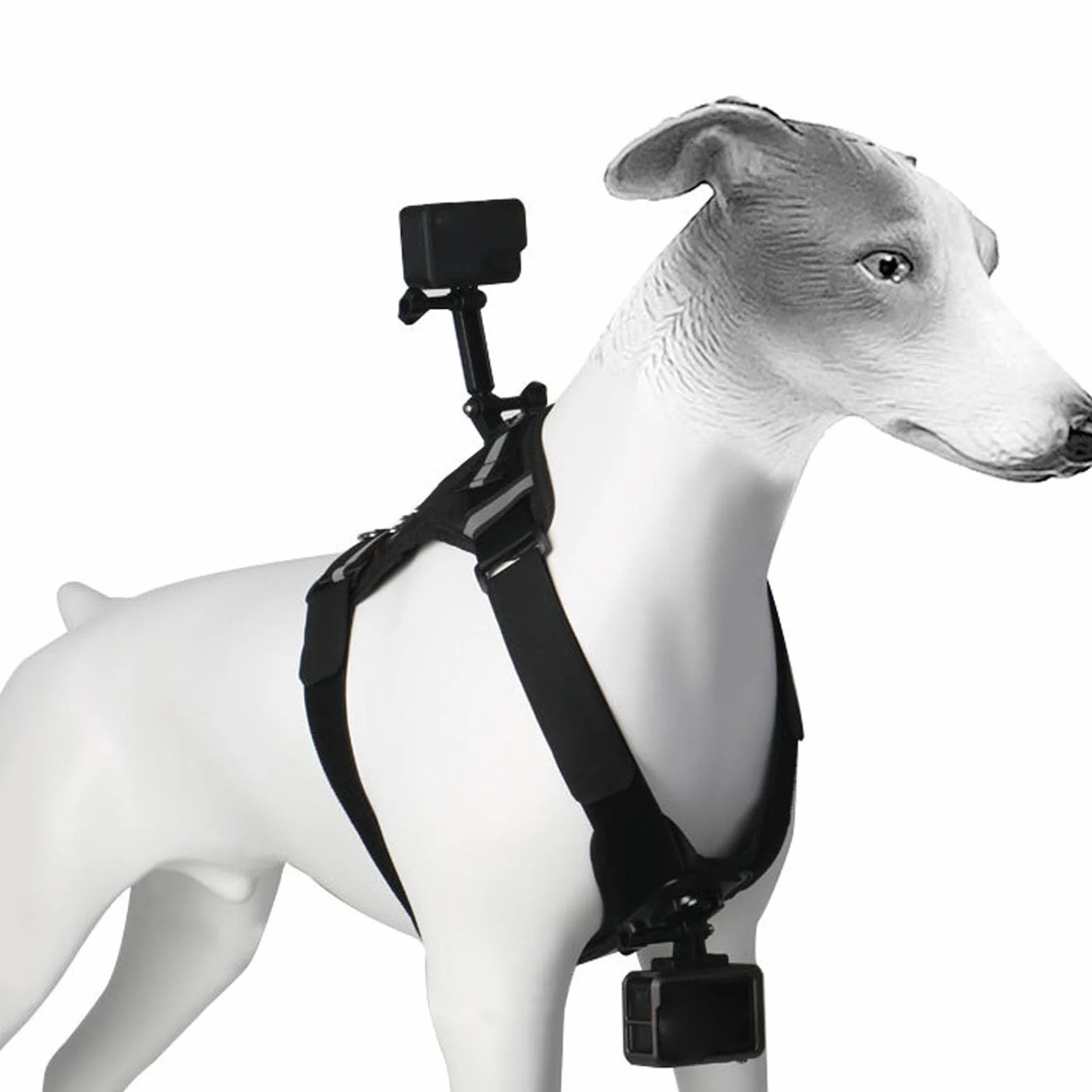 Montaggio del Cablaggio per Cani per GO Pro, Gilet di Cablaggio per Cani Regolabili, Cassetta per Animali Domestici per Animali Domestici, per le Telecamere di Azione