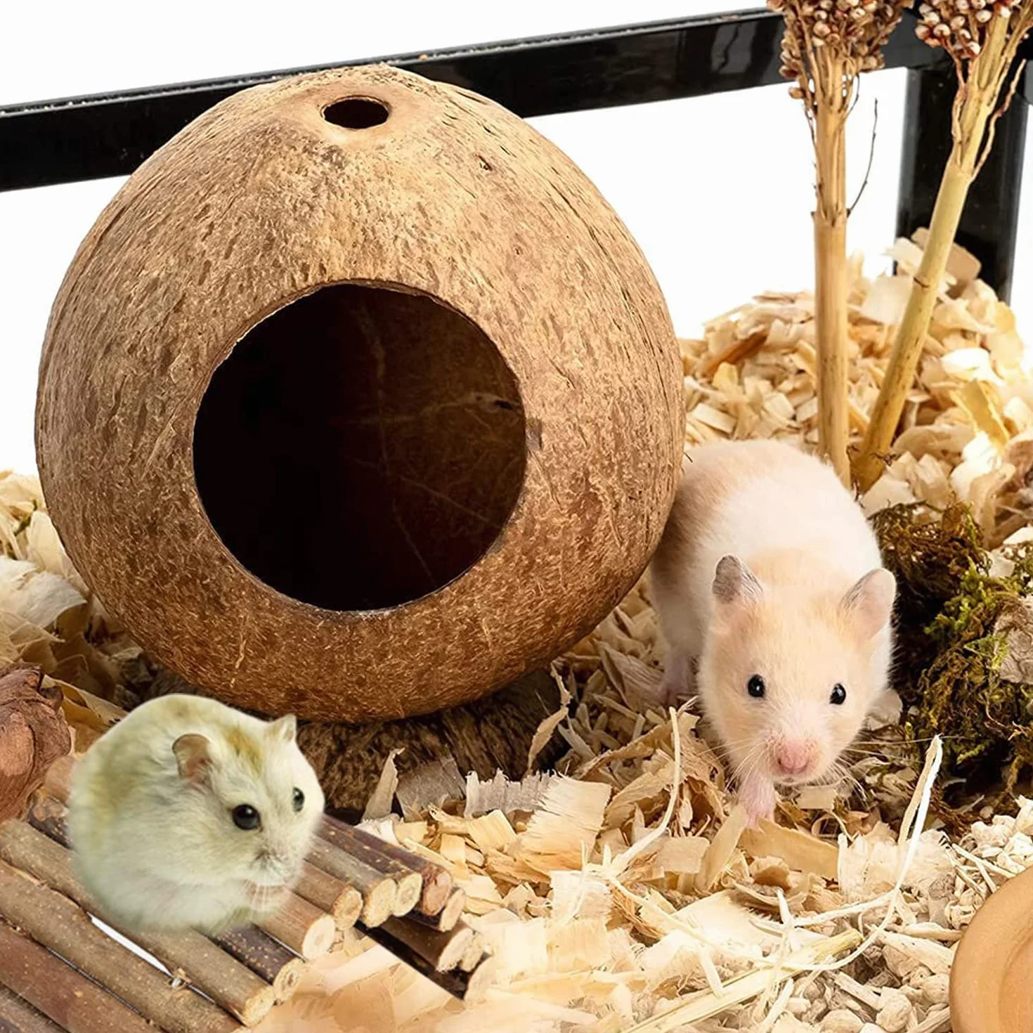 2 Pezzi Nido per Criceti e Uccelli di Cocco, Giocattoli Arrampicata con Scala, per Il Posatoio e La Ricreazione degli Animali Domestici