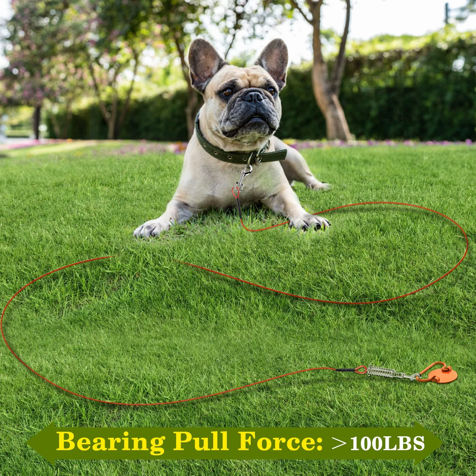 VavoPaw Picchetto a Spirale con Guinzaglio da 10m, Paletti per Catene per Cani in Acciaio Inossidabile Kit Guinzaglio per Cani fino a 45KG Ancoraggio a Terra per Esterno, Cortile, Campeggio, Rosso