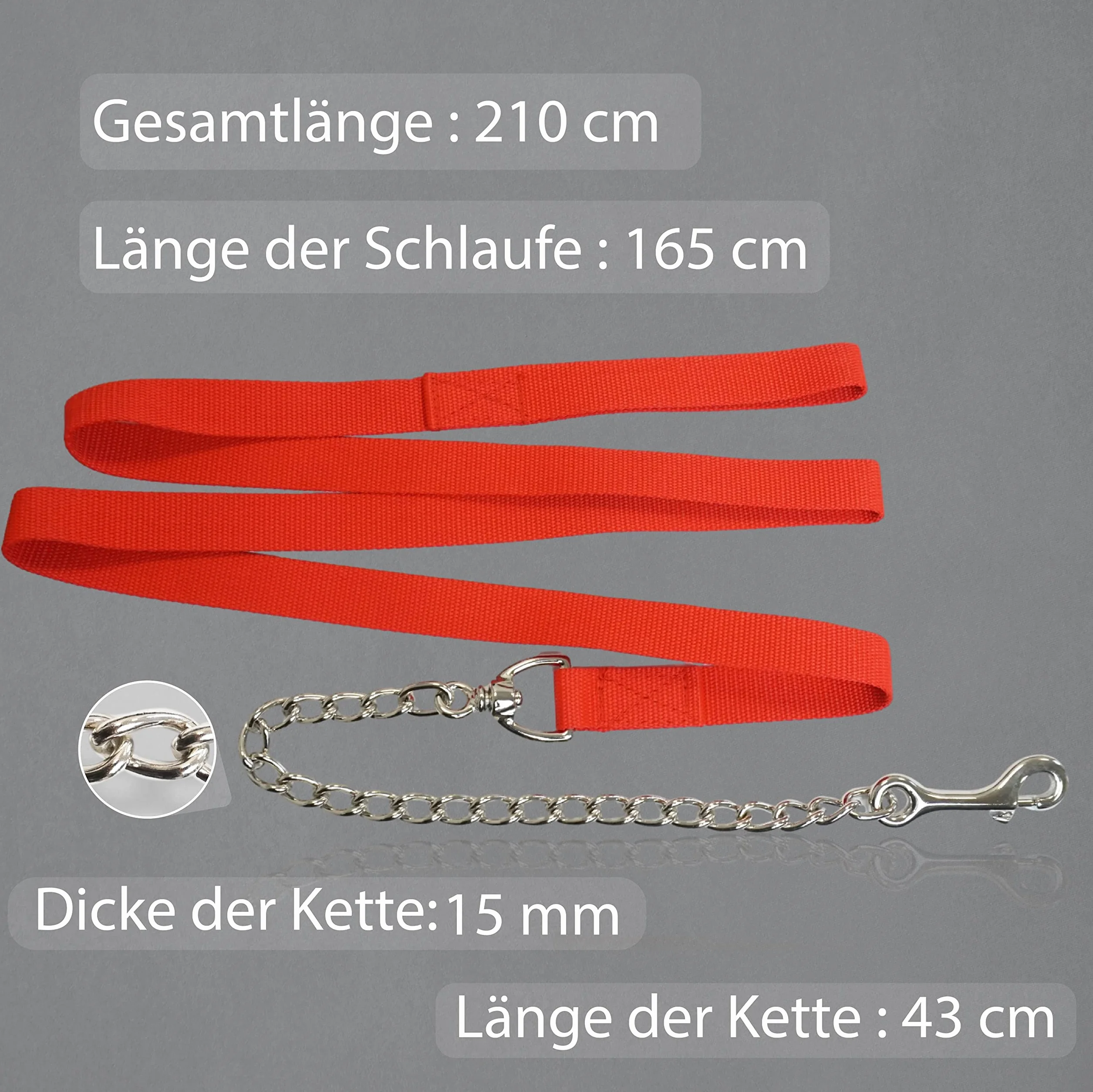 Catena di guida per cavalli | guida sicura con catena di ferro e manico in nylon | Guinzaglio adatto per stalloni cani pony asini | Lunghezza 2,10 m (rosso)