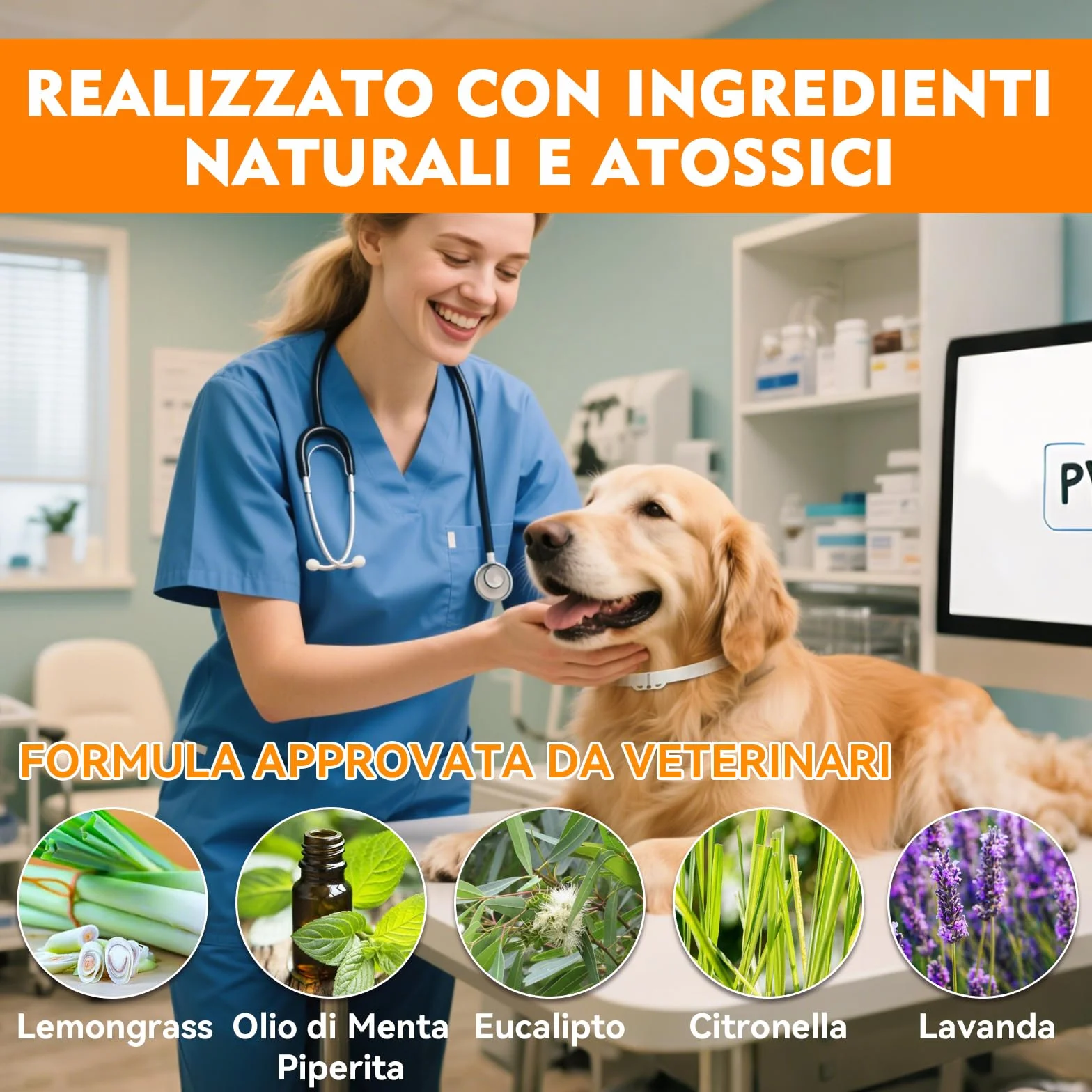 Collare Antiparassitario per Cani, Regolabile e Impermeabile con Protezione Naturale, 65cm Adatto a Tutte le Taglie, Protezione Efficace per 12 Mesi (1 Pack)