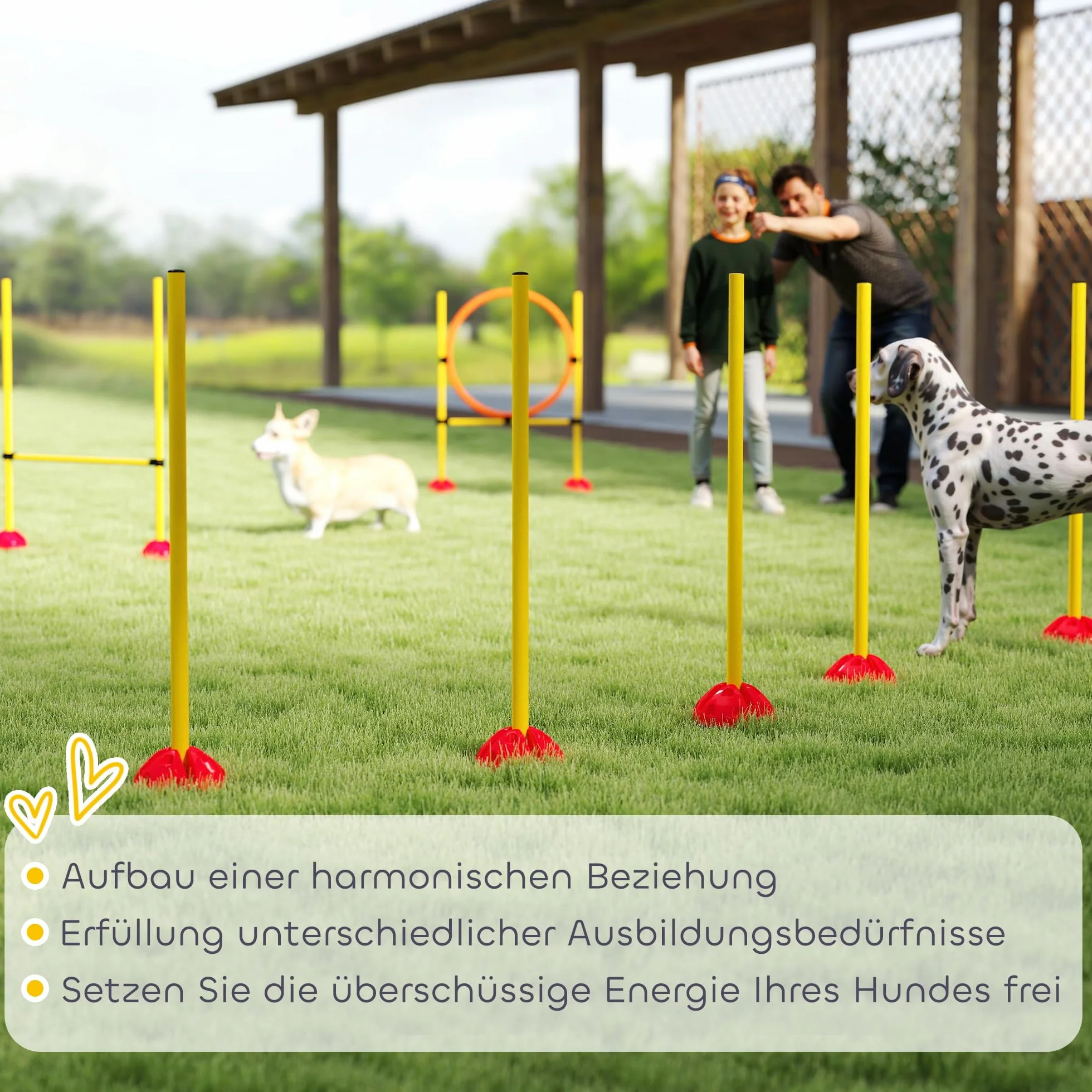 PawHut Set Agility Cani 4 pezzi riempibili per l'addestramento dei cani Set di ostacoli con pali per slalom, ostacoli regolabili in altezza, anello per il salto e la coordinazione per l'addestramento