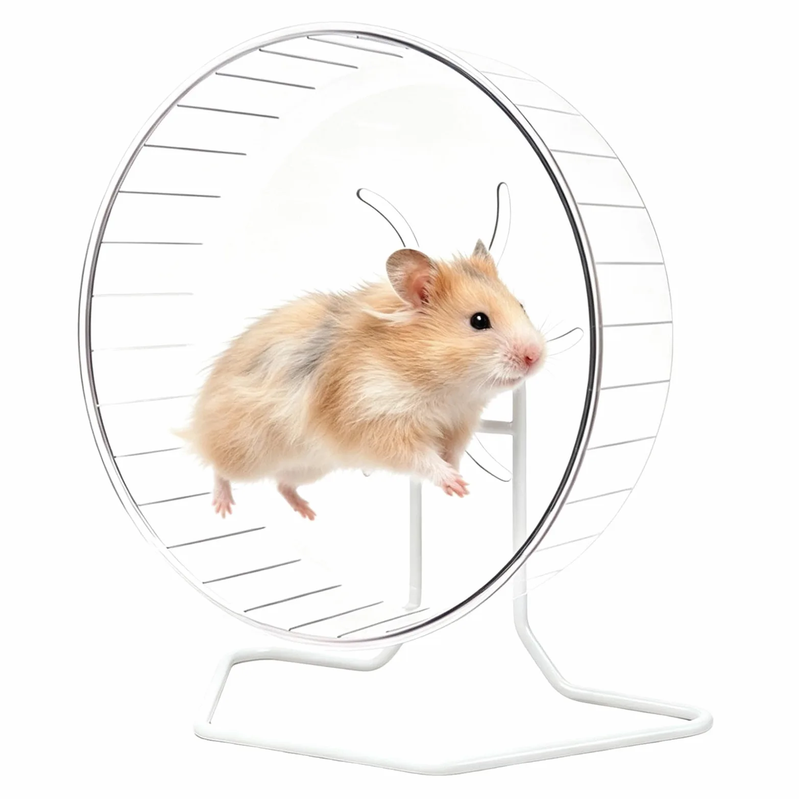 Ruote per criceti, silenziose e trasparenti, con supporto | Piccola ruota per criceti, adatta per piccoli animali domestici come conigli, furetti, ricci, zucchero Glider