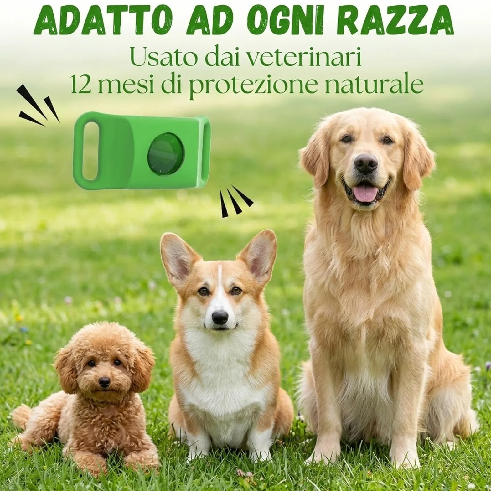 Aquality Pets Collare Antiparassitario Naturale, Ciondolo Repellente Per Pulci E Zecche Per Cani, Ingredienti 100% Naturali, Protegge Da Pulci E Zecche