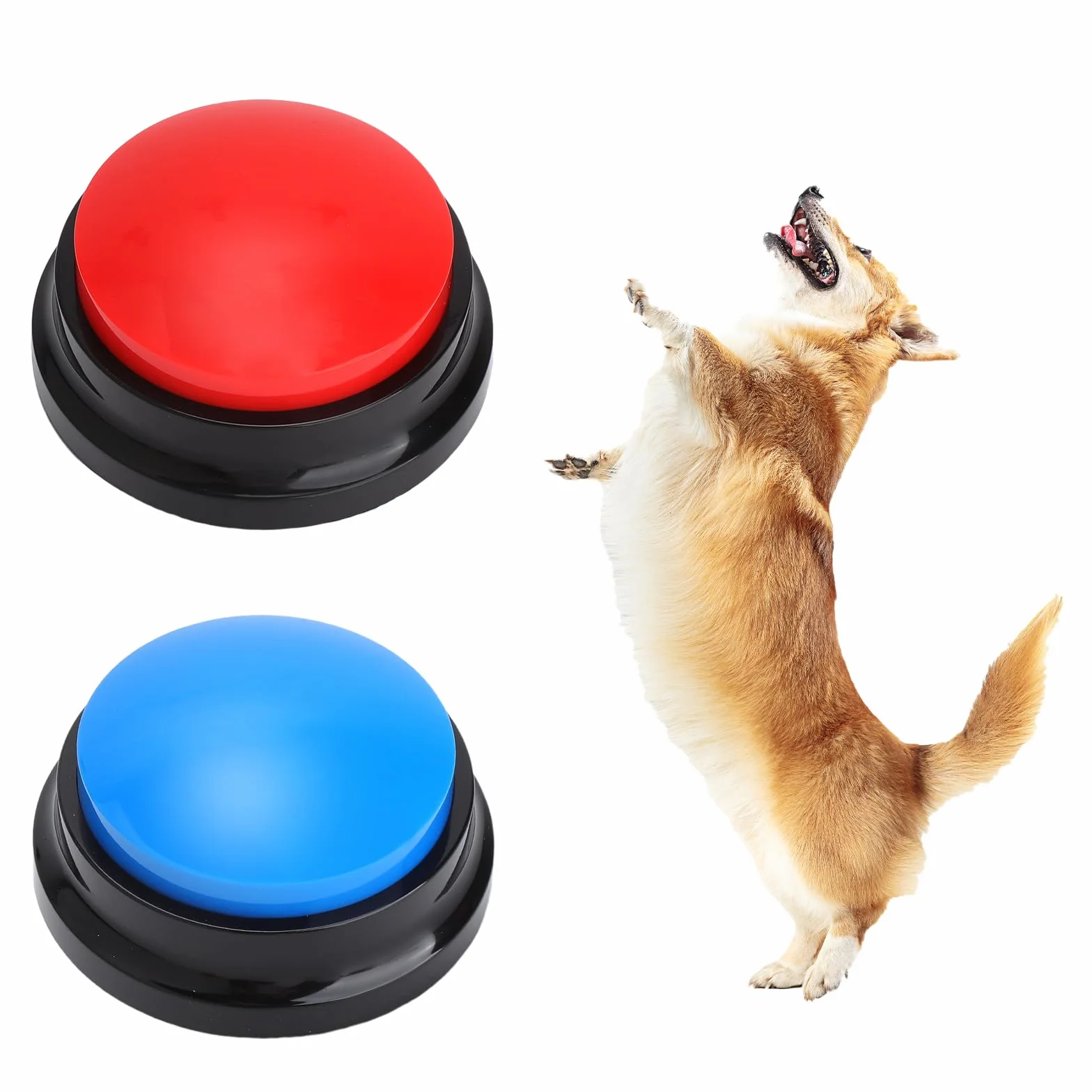 Confezione da 2 cicalini sonori, cicalini con funzione di registrazione, cicalini per animali domestici per cani, giocattoli intelligenti per cani con funzione di registrazione di 30 secondi, pulsante