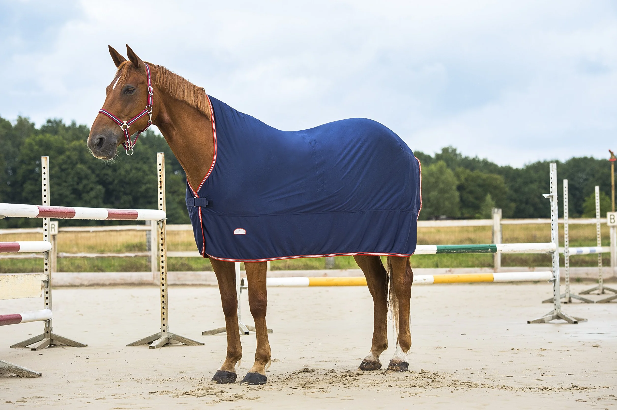 Equi-Theme/Equit'M Microfleece, Lenzuolo Collo Alto in Micropile Unisex-Adulto