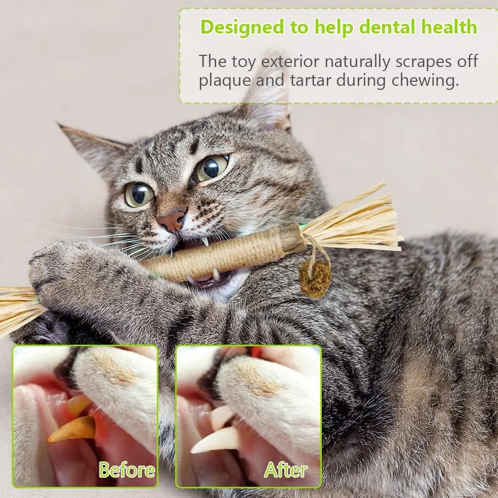 Giocattoli di Erba Gatta, 6 Pezzi Bastoncini da Masticare per Gatti, Naturale Bastoncini Matatabi per Gatti, Denti di Gatto Pulizia Masticare Giocattoli, per Eliminare Alitosi e Tartaro