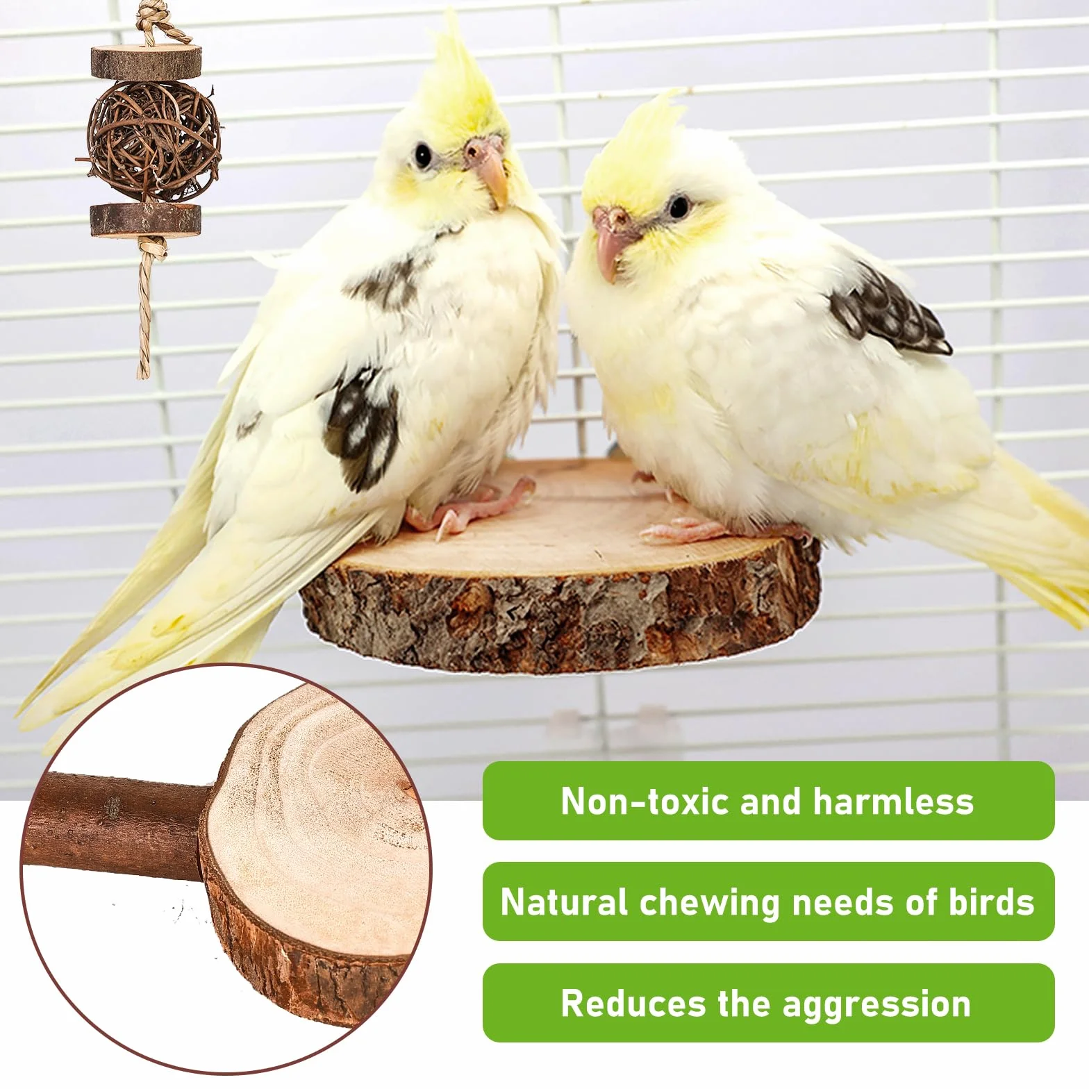 Posatoi per Uccelli, 8 Pz in Legno Naturale - Giocattolo per Pappagalli, Trespolo, Persico - Supporti per Cacatua, Cocorite, Fringuelli