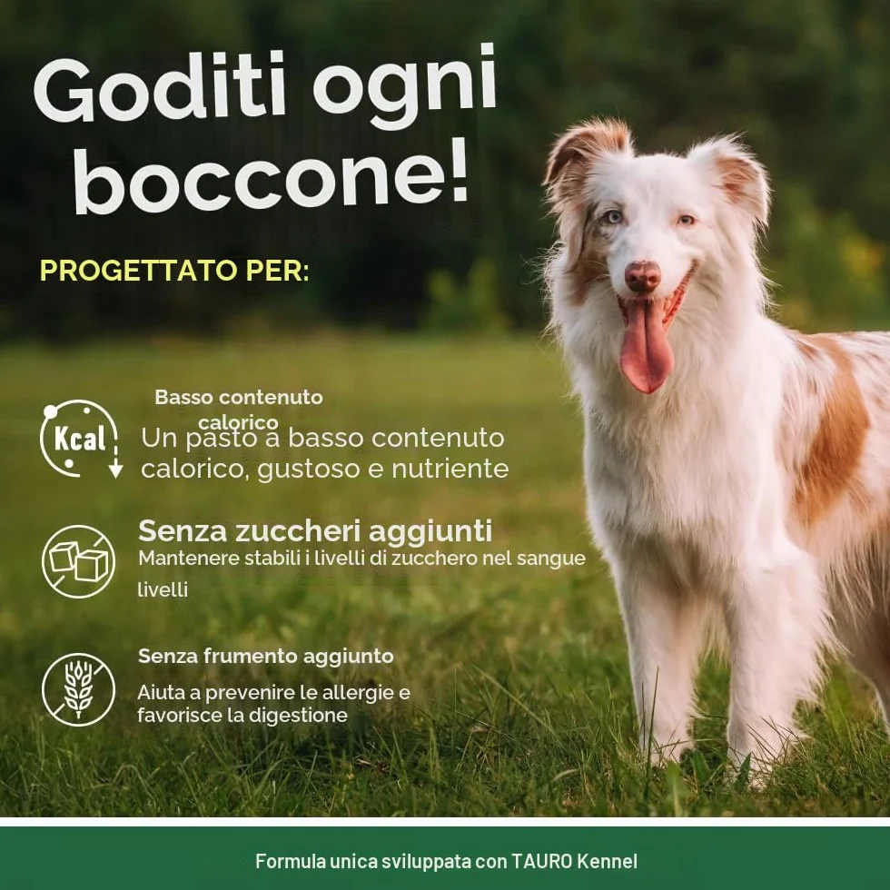 Nature's Protection Superior Care - Cibo umido per cani adulti, tonno e salmone ad alto contenuto proteico in sacchetti di sugo, per digestione sensibile, pelle e pelo sani, di tutte le razze, cani