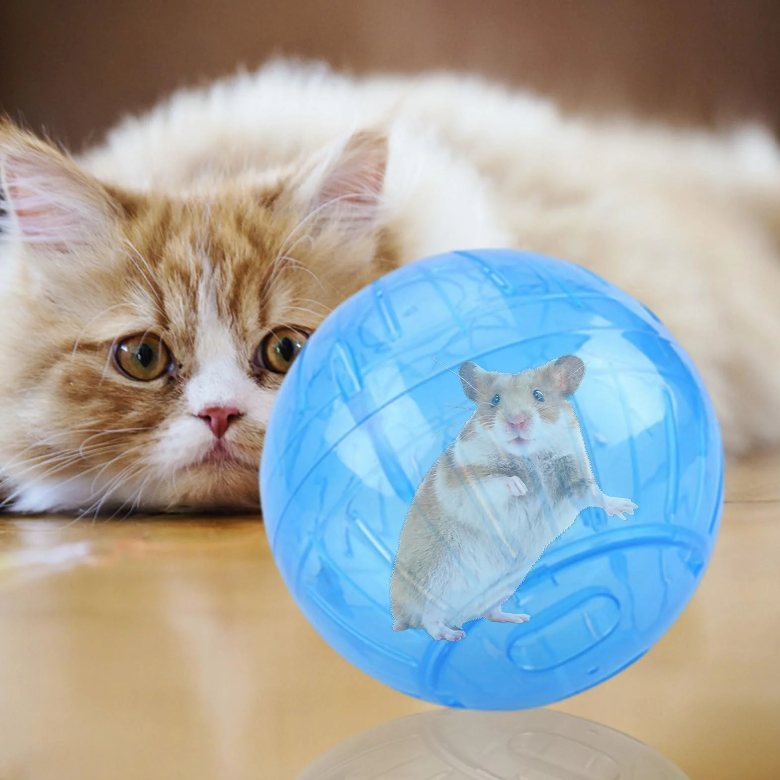 Palla per esercizi per criceti, ruota da jogging sicura per piccoli animali domestici, palla trasparente con fori di ventilazione, divertente giocattolo per fitness, ideale per criceti, gerbilli e