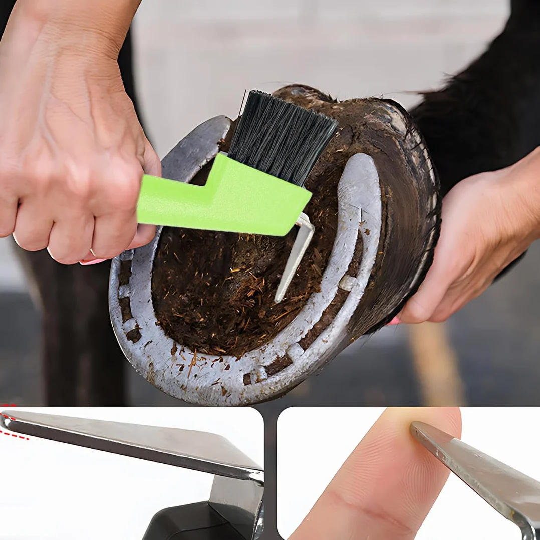 2 pcs Raschietto per zoccoli di cavalli, capre e asini, con spazzola estremamente stabile e impugnatura ergonomica, Colore casuale
