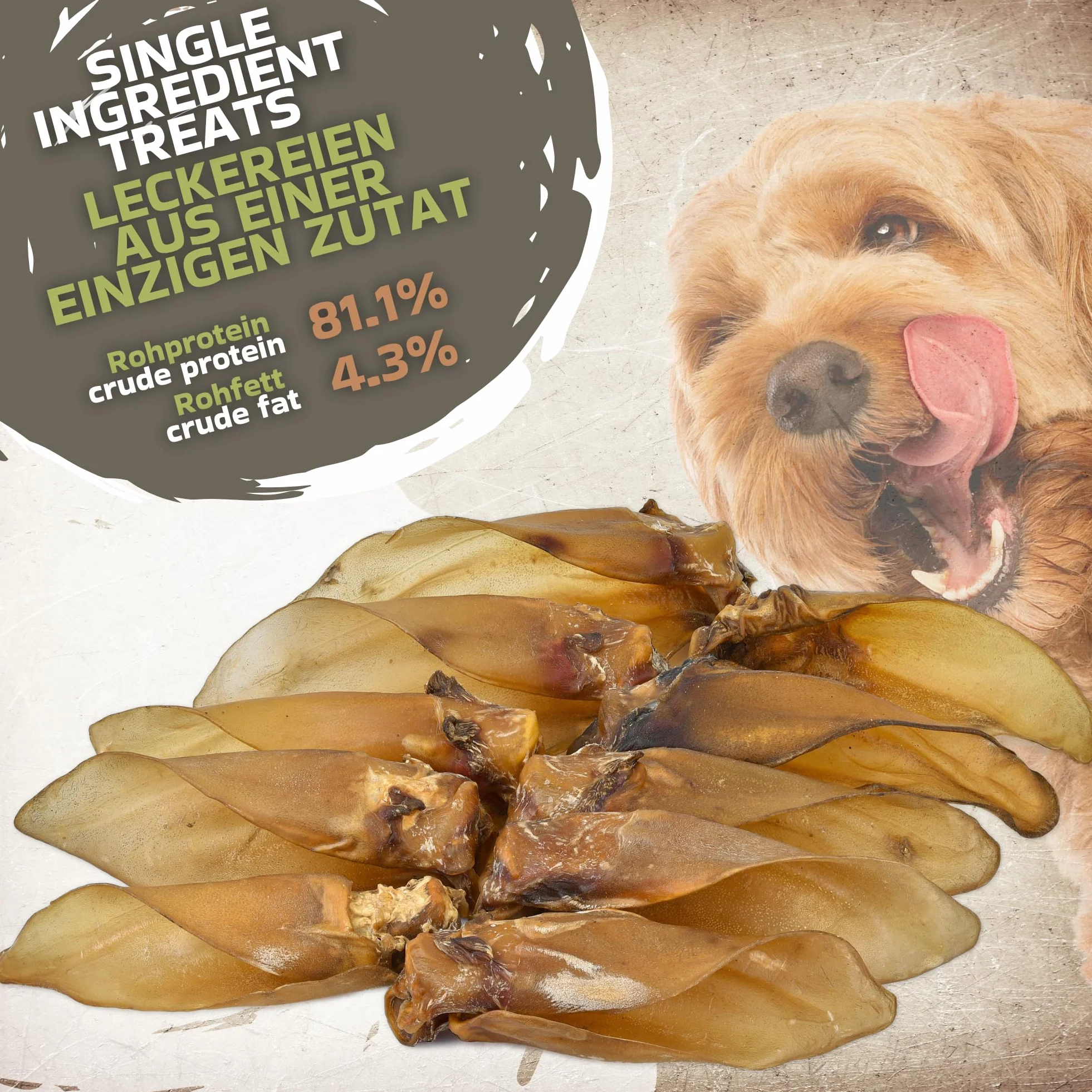 Orecchie di manzo naturali con conchiglie per cani, 10 pezzi (700 g) | Snack naturale indiano al 100% di manzo | Lungo piacere di masticazione e cura dei denti | Senza additivi