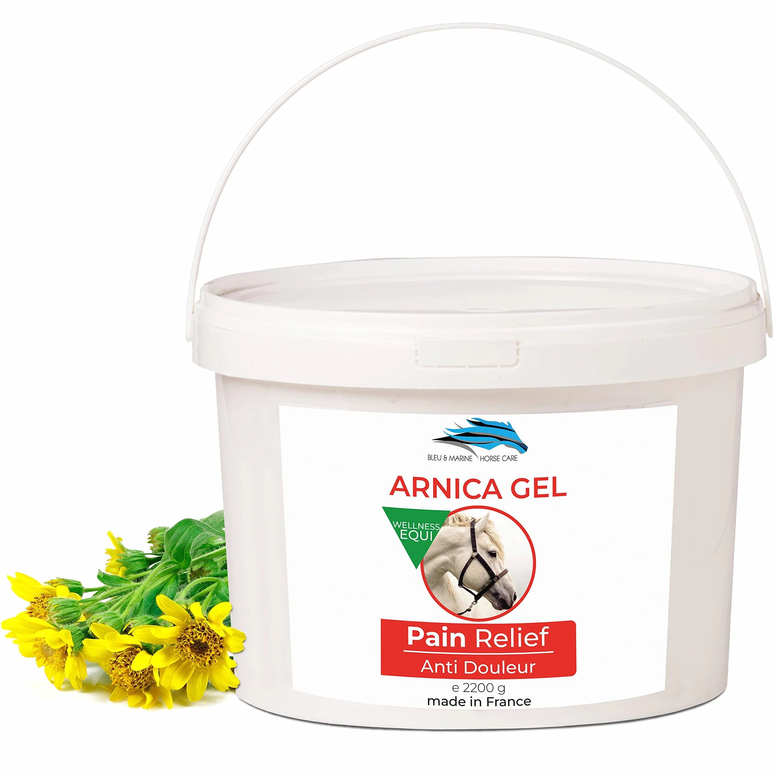 Arnica Gel FORTE Concentrato 90% Estratto BIO Massaggi Muscolari Articolari 2200 g 2.2 kg
