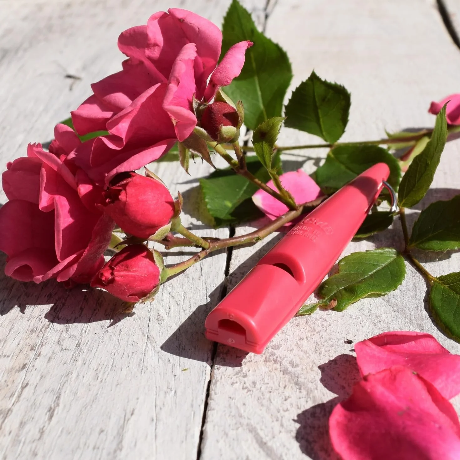 ACME Fischietto per cani N. 211,5 | Originale dall‘Inghilterra | Ideale per addestramento cani | Materiale resistente | Frequenza standard | Suono forte e ad ampio raggio (fucsia)