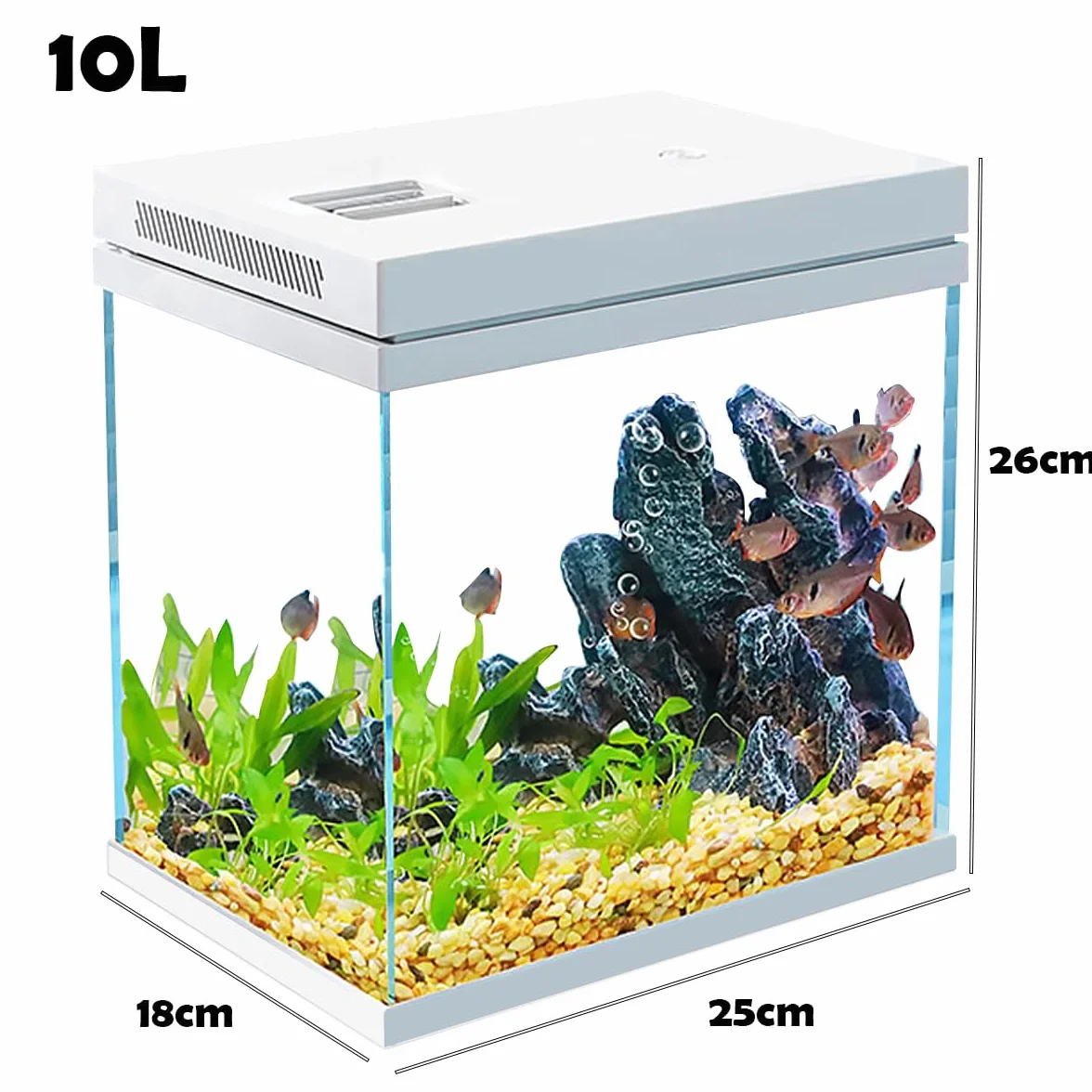 Acquario in vetro nano da 10 l per pesci - Con sistema di luce e filtro - Modello impermeabile e senza detersivo (10 l)