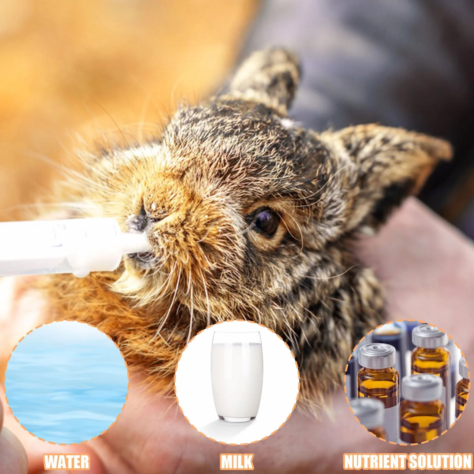 Spruzzatore di alimentazione per uccelli, 1 pezzo, con 20 tubi, sterile per animali domestici, per piccoli animali, gattini, cuccioli, Scientific Industrial Labs (B)