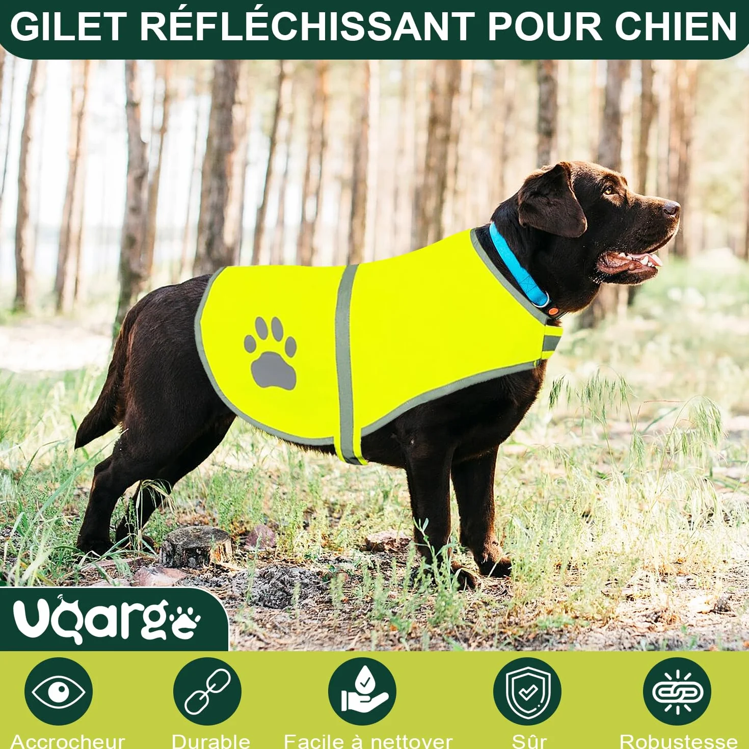 Voarge Gilet di Sicurezza Riflettente per Cani, Alta Visibilità, Giacca Riflettente Giubbotto di Sicurezza Giubbotto di Animale Domestico per Notte All'aperto L