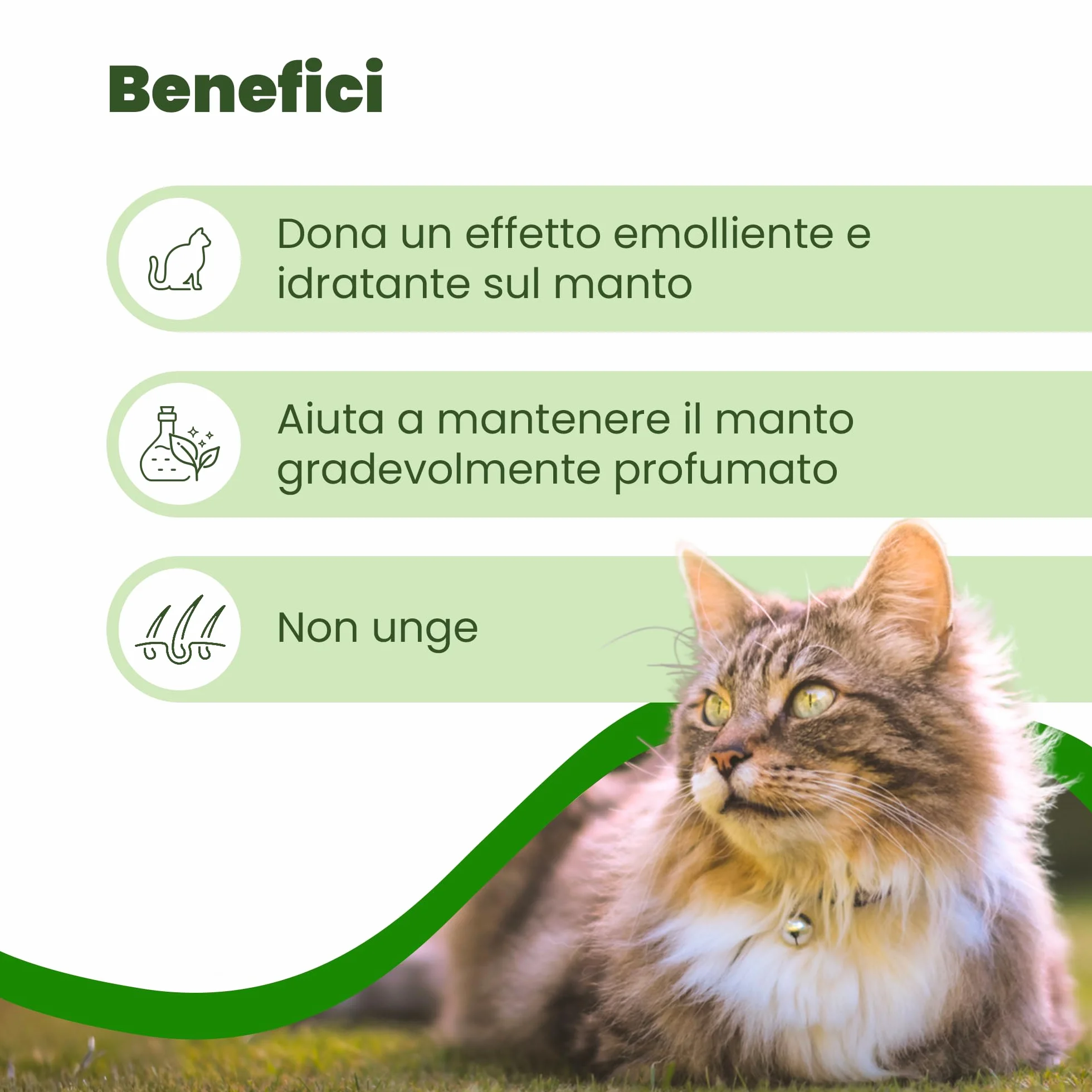 CAMON | Spot-On Protection Gatto, 5 Fiale da 2ml con Olio di Neem e Aminoacidi, Protezione Naturale