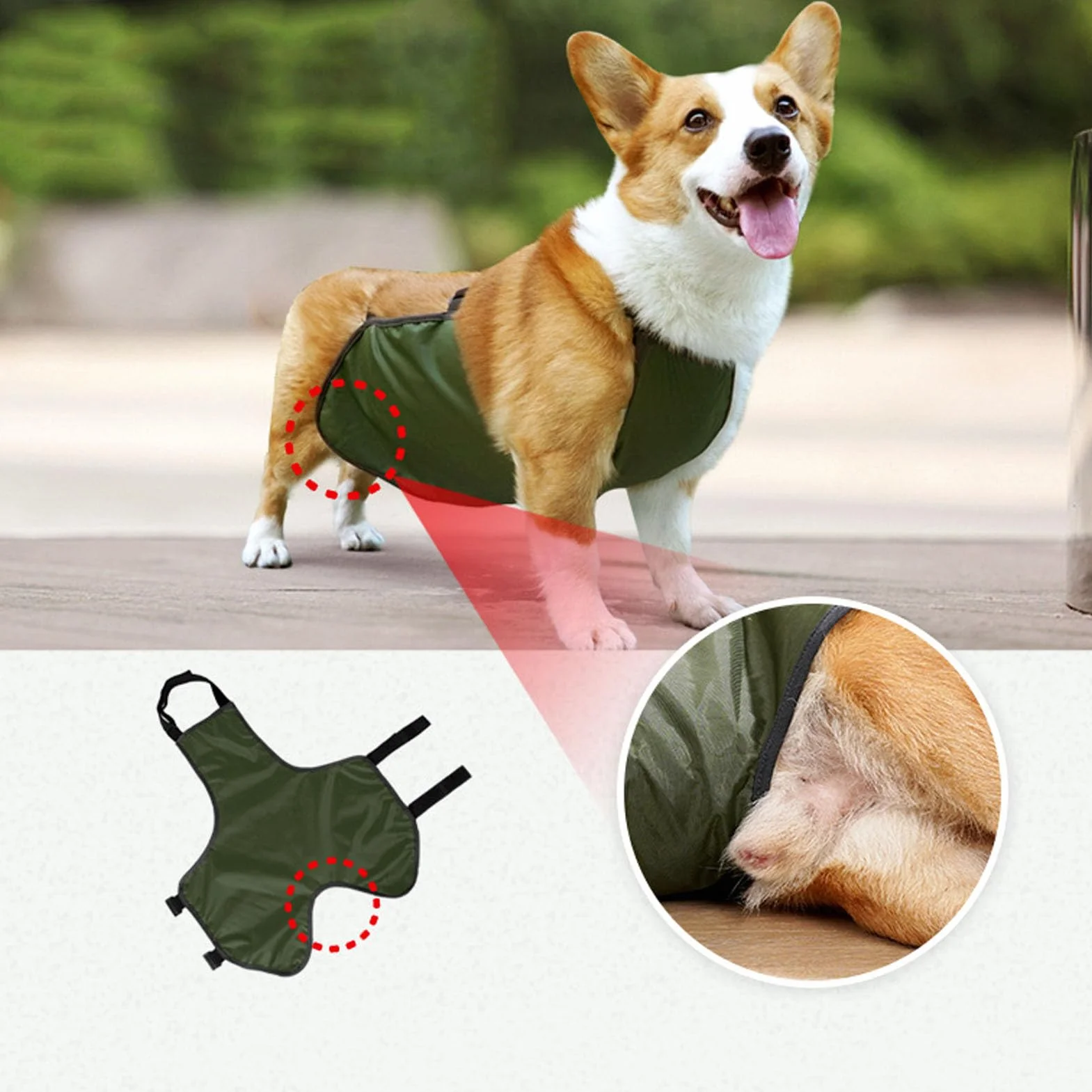 Grembiule per Cani Protezione per la Pancia Bavaglino Impermeabile per Cani Protezione per il Torace Gilet Protettivo per Animali Domestici per Cani Maschi e Femmine Corgi Bassotto Bulldog(M-OD Verde)