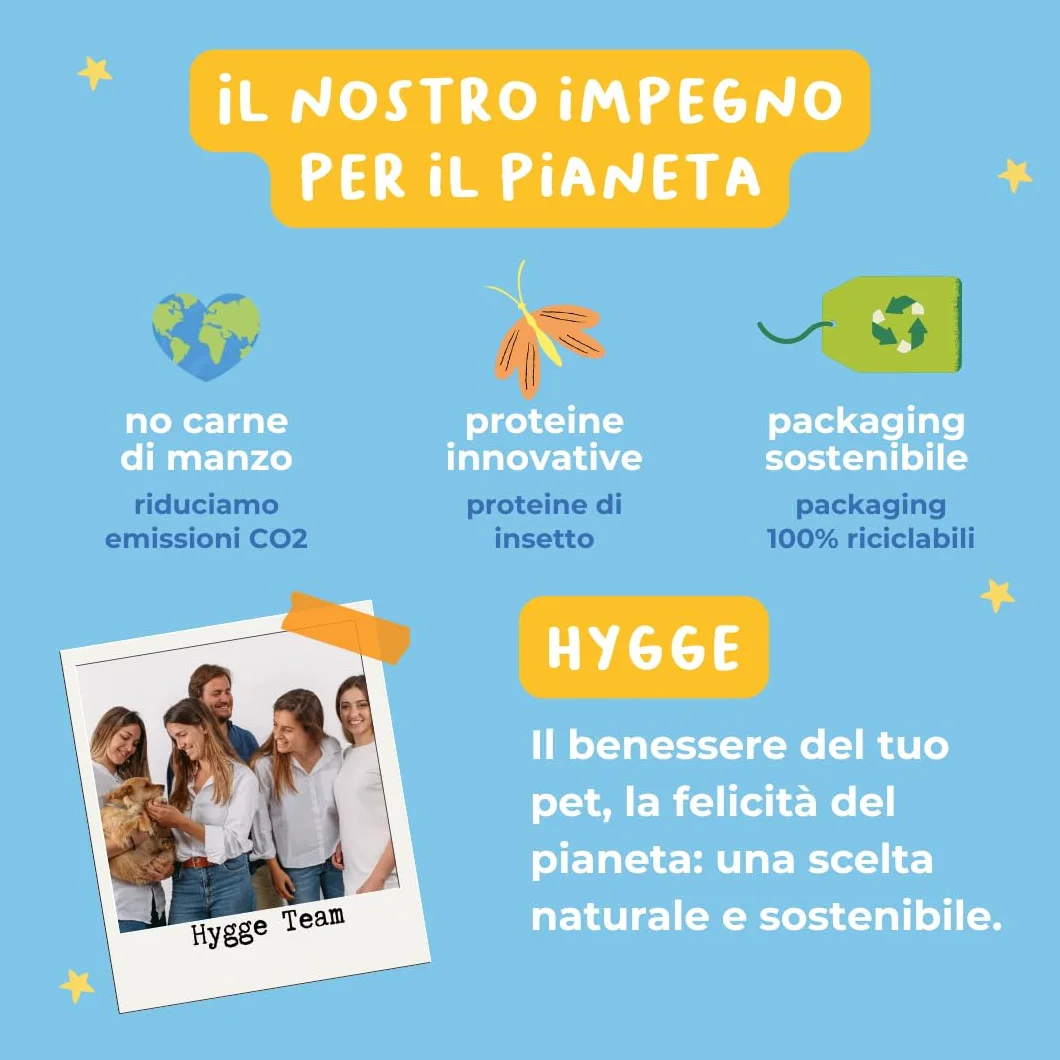 Hygge Dog Cibo Umido per Cani Monoproteico al Maiale | Con Patate e Finocchietto | Cibo Per Cane Adulto | Senza Cereali, Ideale per Dogs Sensibili | Prodotto in Italia | 12 x 400g