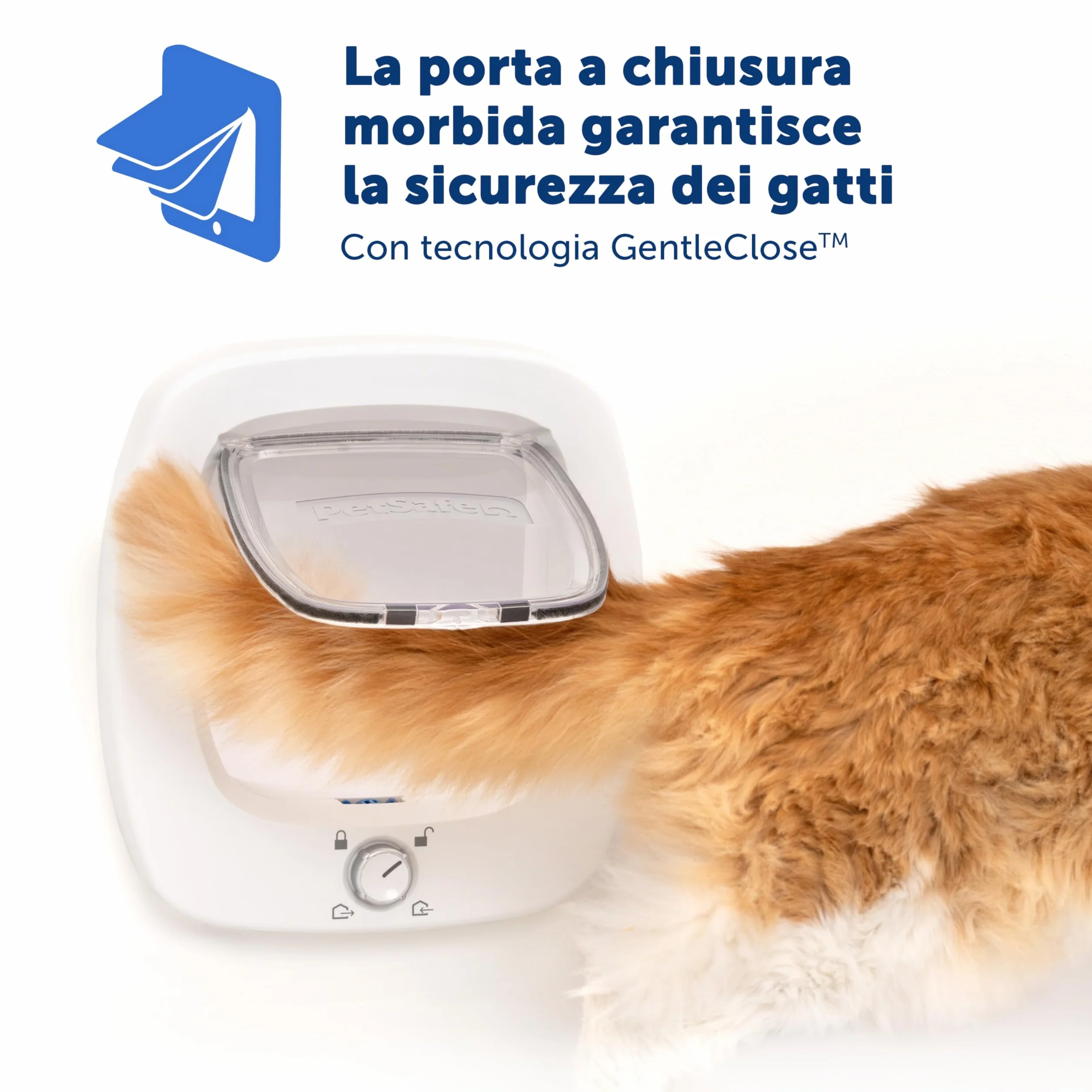 PetSafe - Gattaiola Big Cat - Porta per Animali Interna ed Esterna - Blocco a 4 Vie e Aletta a Chiusura Morbida - Per Gatti e Cani Piccoli