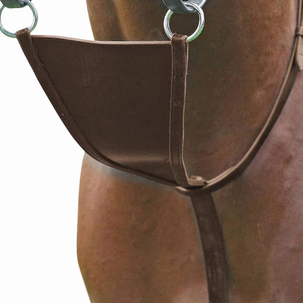 Shires - Bavaglino Martingales