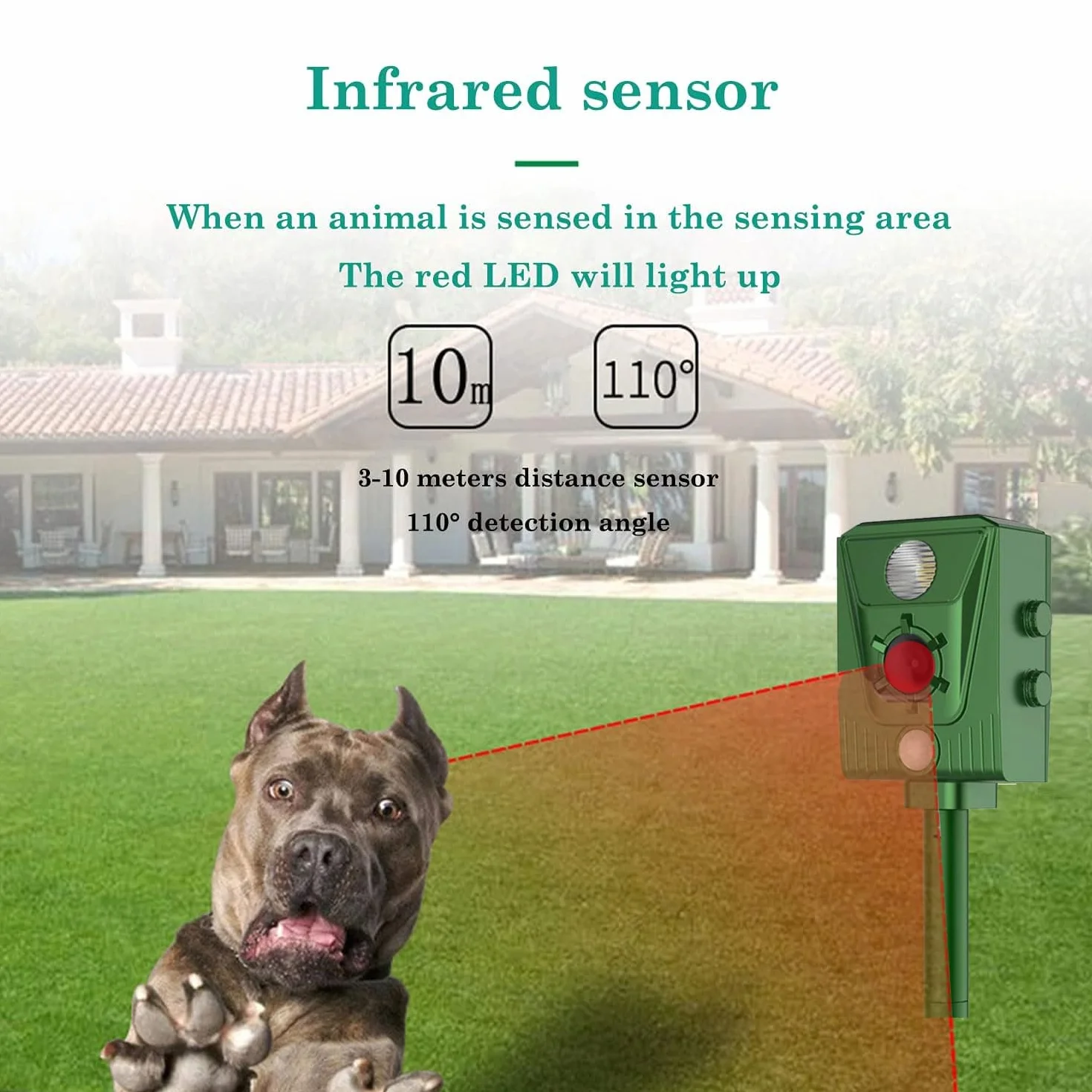 Repellente Gatti Piccioni Ultrasonico Esterno Solare IP66 Impermeabile Frequenza Regolabile 5 Modalità