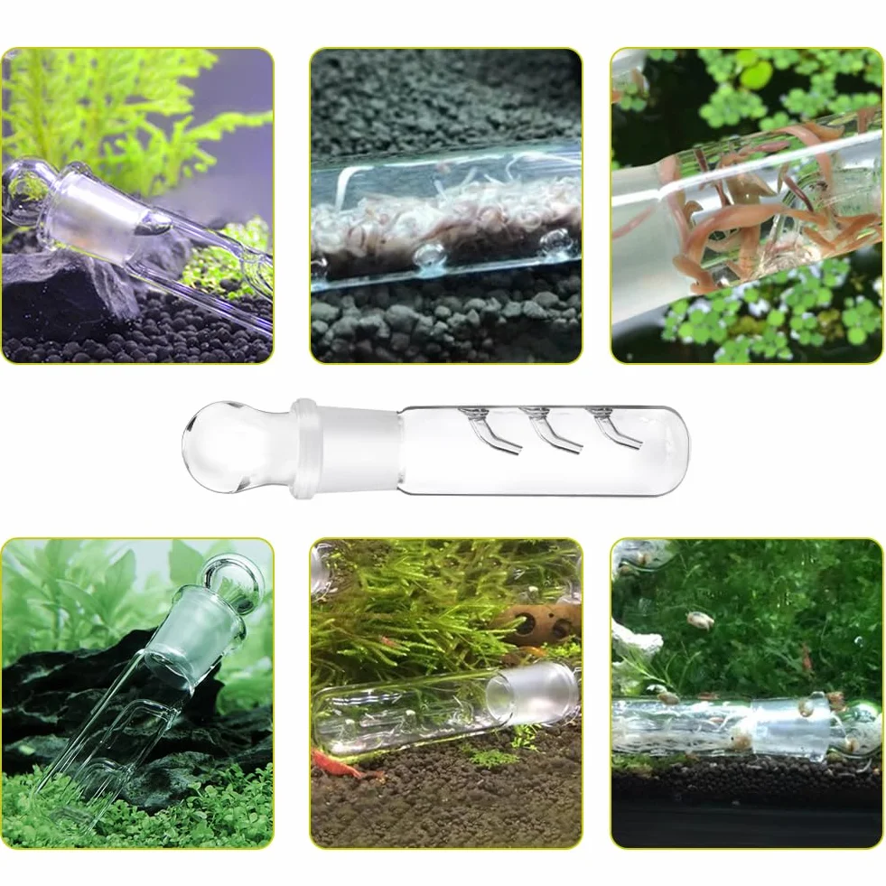 2 trappole per planari efficienti, 3 fori, vetro trasparente Planaria Trap per serbatoio di pesce, acquario, vetro trasparente Catcher Trap (riutilizzabile)