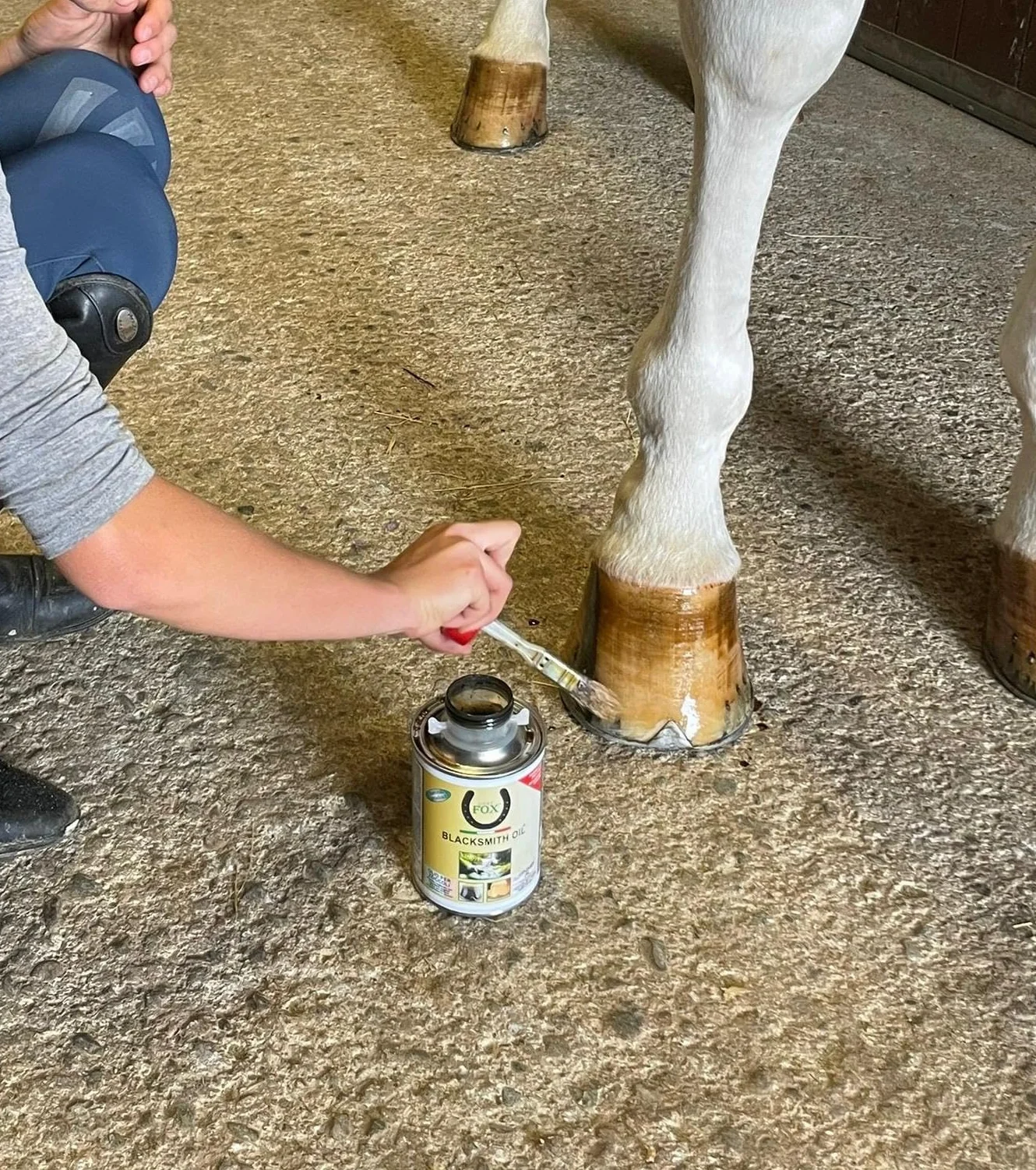 Lucky Fox BLACKSMITH OIL, Idratante per lo Zoccolo del Cavallo, Garantisce Elasticità allo Zoccolo, Crea una Barriera Naturale agli agenti esterni, 500ml